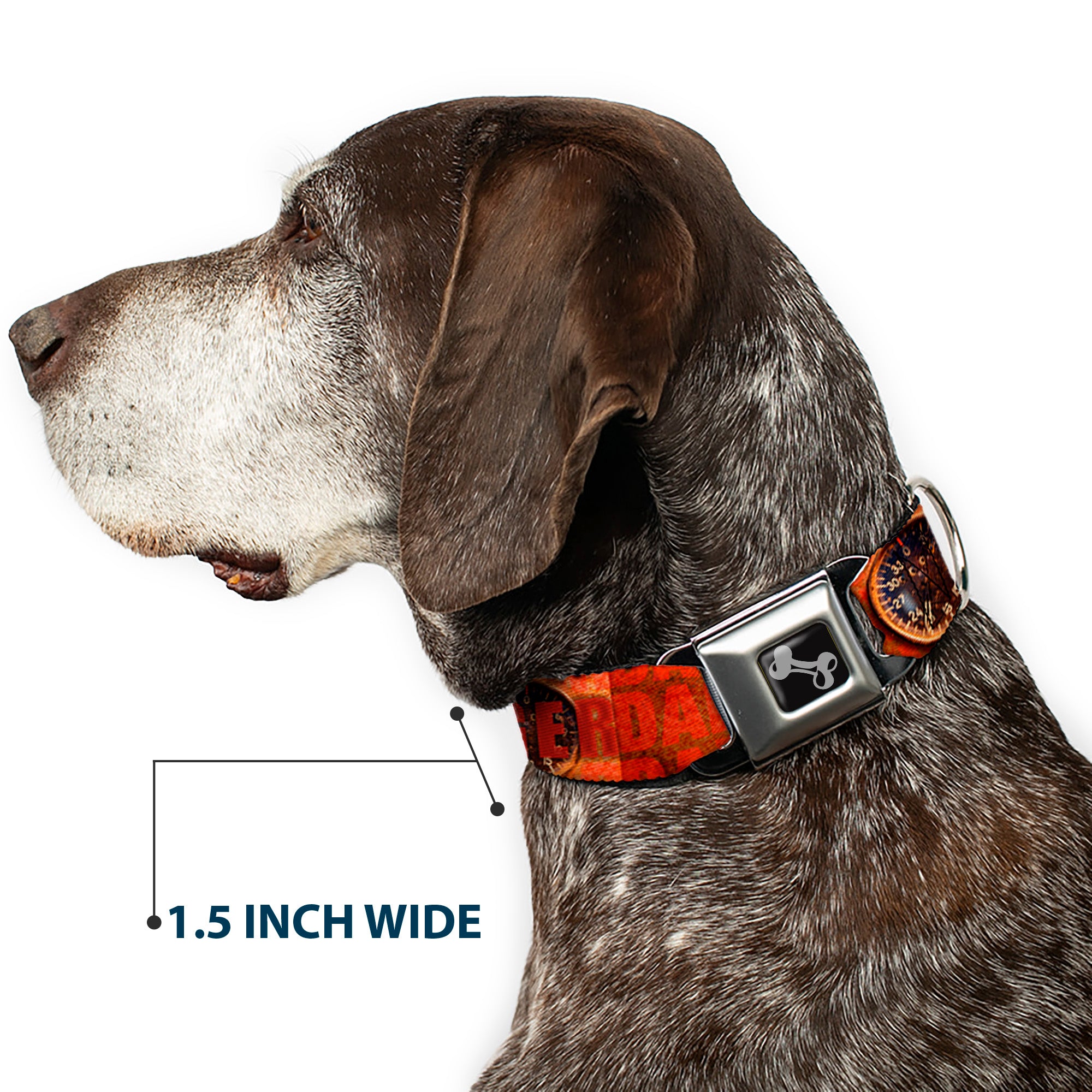 Dog Bone Seatbelt Buckle Collar - Danger Gauge Seatbelt Buckle Collars Buckle-Down