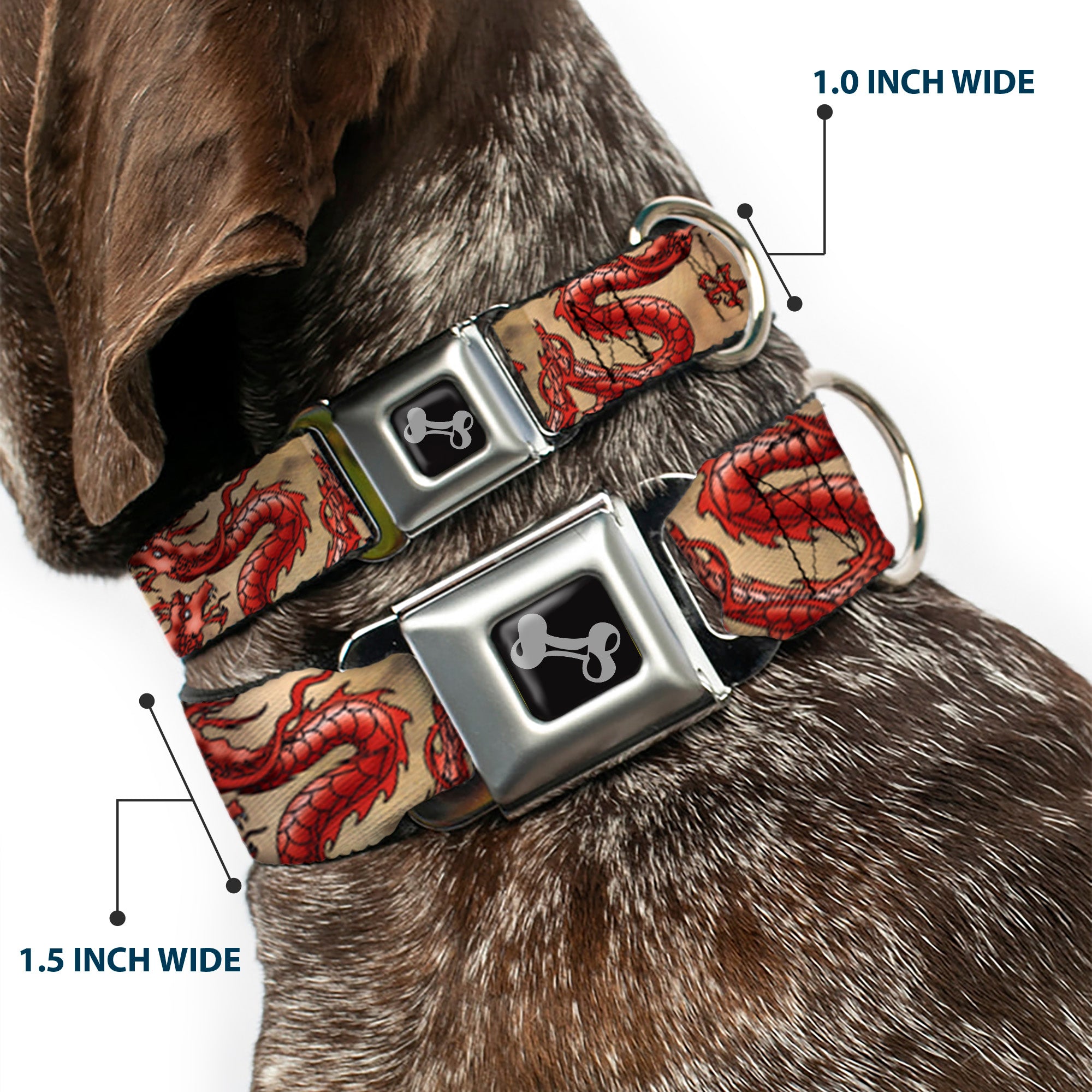 Dog Bone Seatbelt Buckle Collar - Dragons Tan Seatbelt Buckle Collars Buckle-Down