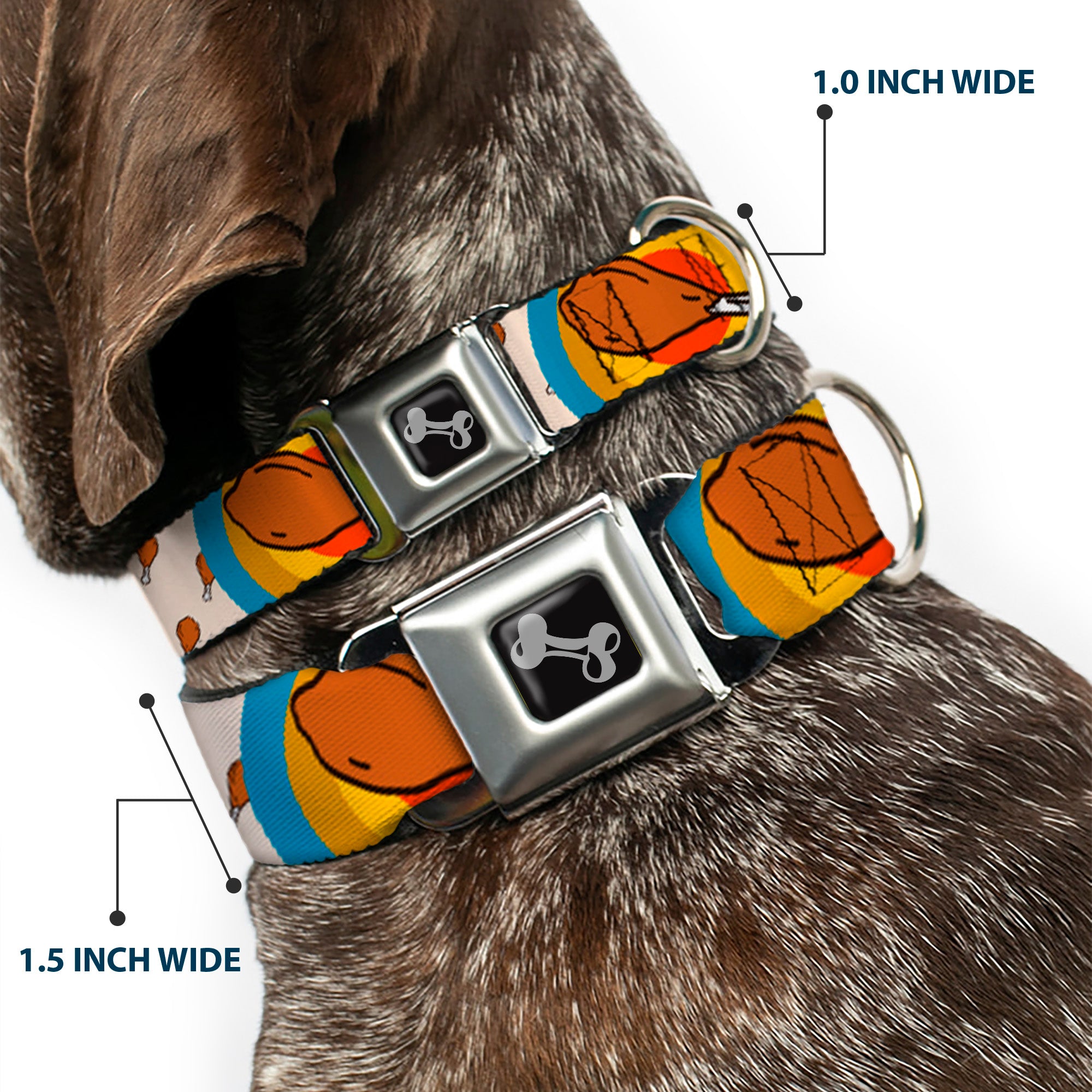 Dog Bone Seatbelt Buckle Collar - Drumstick Target Seatbelt Buckle Collars Buckle-Down