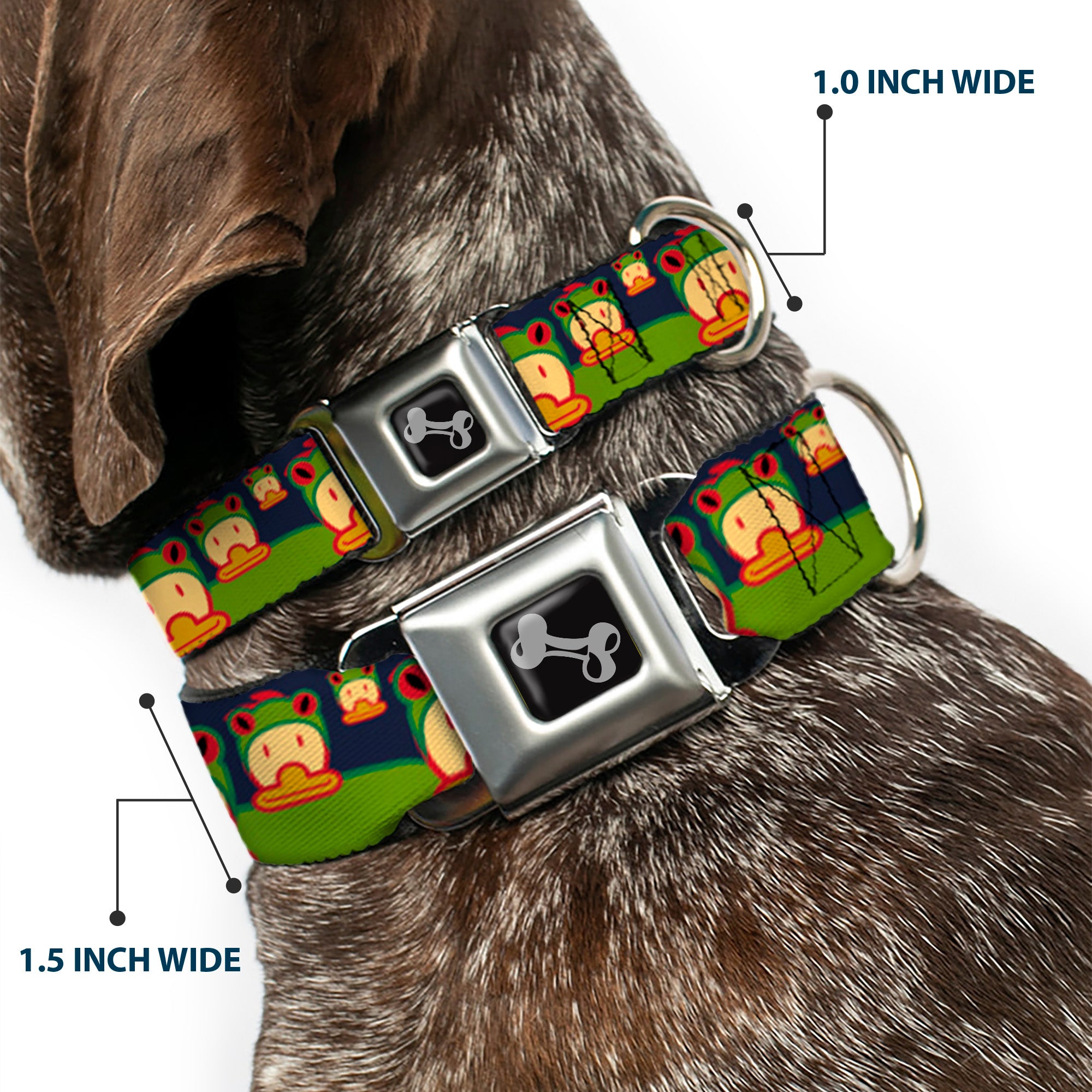 Dog Bone Seatbelt Buckle Collar - Duck w/Frog Hat Seatbelt Buckle Collars Buckle-Down