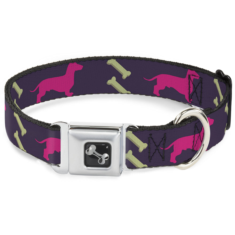 Dog Bone Seatbelt Buckle Collar - Dachshunds & Bones Purple/Fuchsia/Green Seatbelt Buckle Collars Buckle-Down