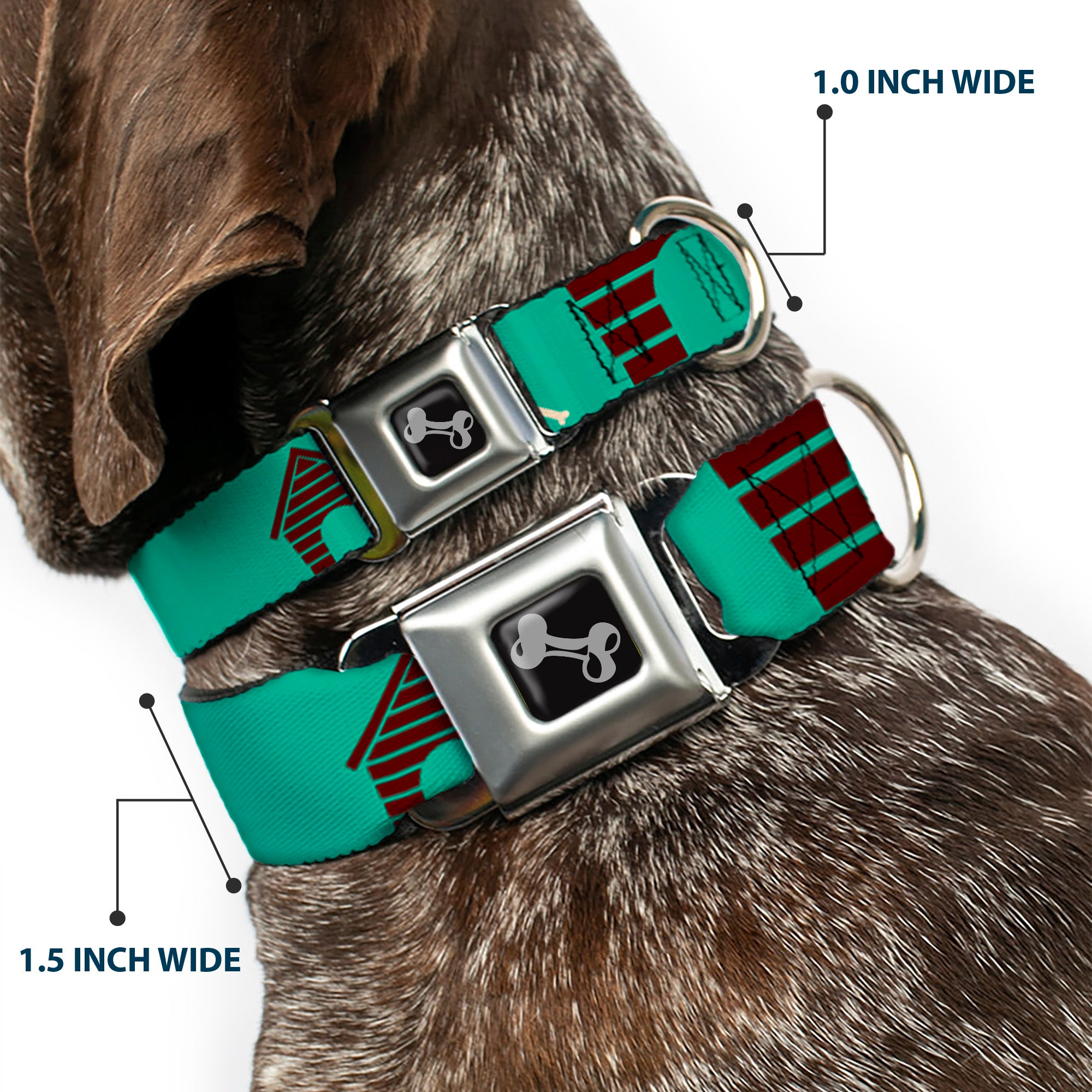 Dog Bone Seatbelt Buckle Collar - Dog House & Bone Turquoise/Brown Seatbelt Buckle Collars Buckle-Down