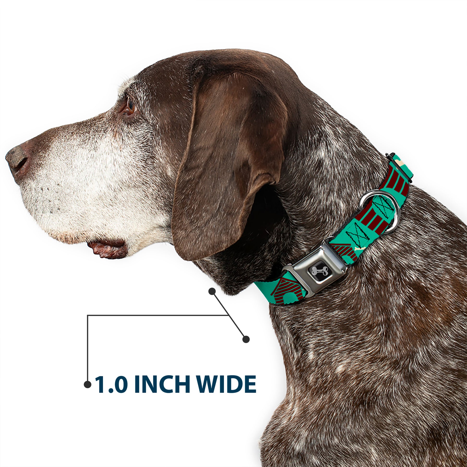 Dog Bone Seatbelt Buckle Collar - Dog House & Bone Turquoise/Brown Seatbelt Buckle Collars Buckle-Down