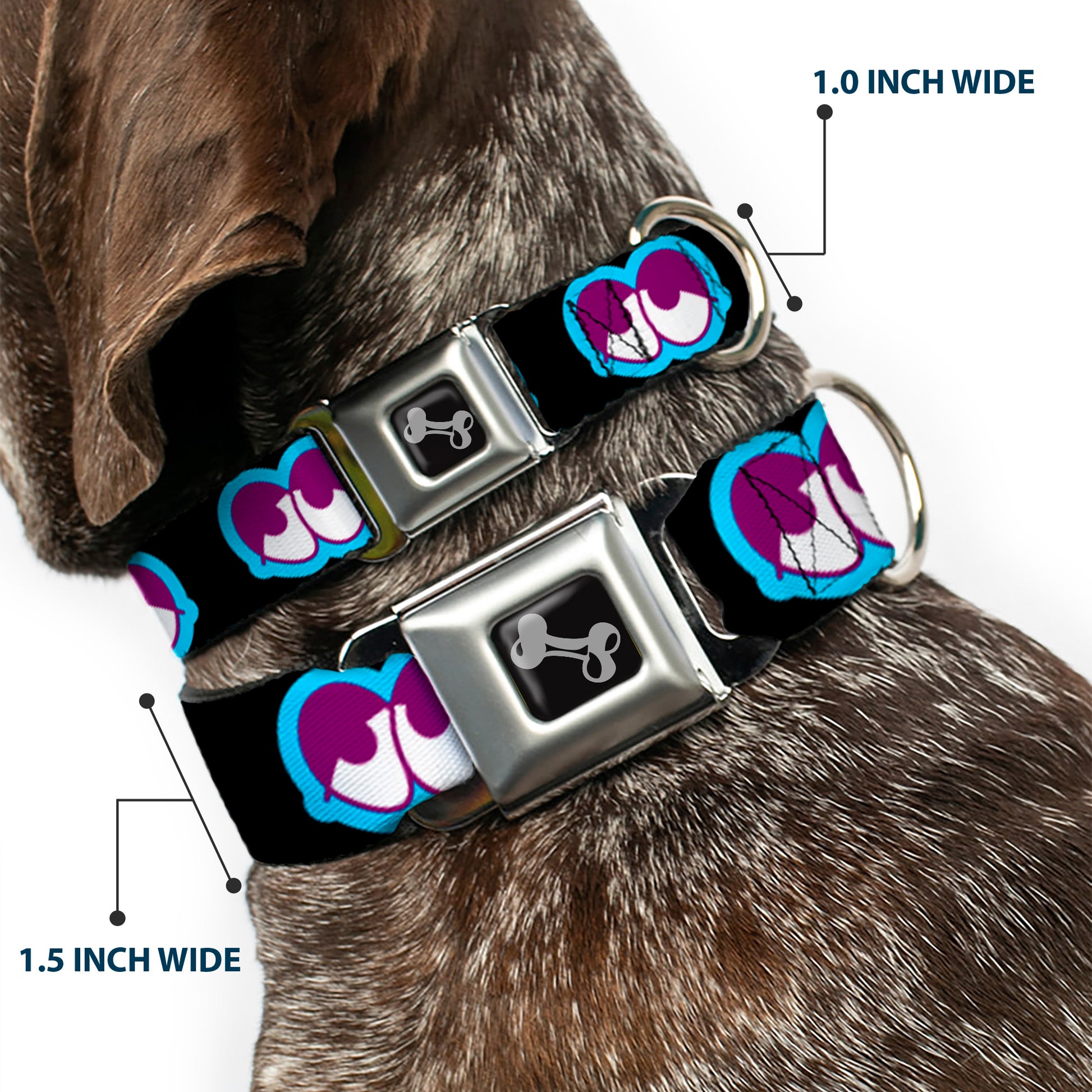 Dog Bone Seatbelt Buckle Collar - Dopey Eyes Black/Baby Blue/Purple Seatbelt Buckle Collars Buckle-Down