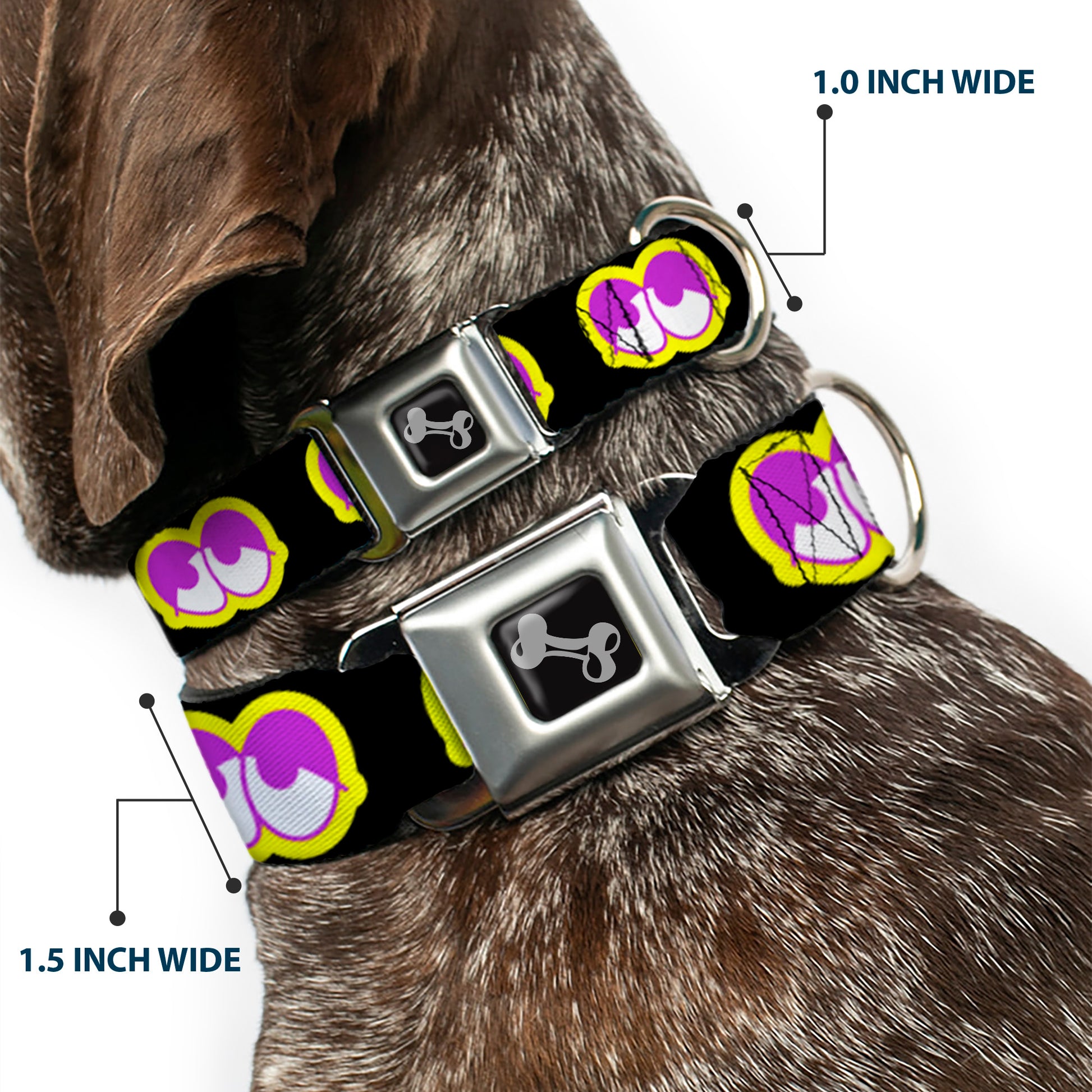 Dog Bone Seatbelt Buckle Collar - Dopey Eyes Black/Yellow/Purple Seatbelt Buckle Collars Buckle-Down