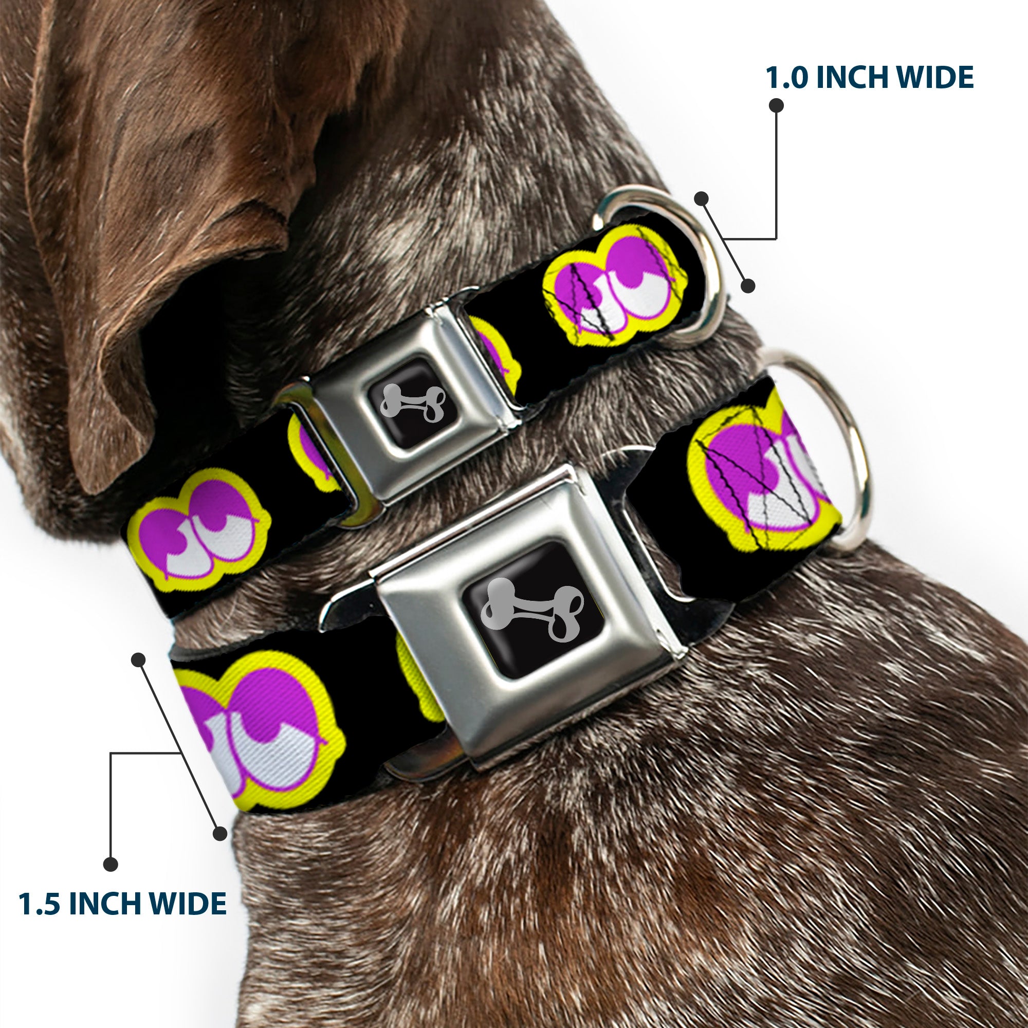Dog Bone Seatbelt Buckle Collar - Dopey Eyes Black/Yellow/Purple Seatbelt Buckle Collars Buckle-Down