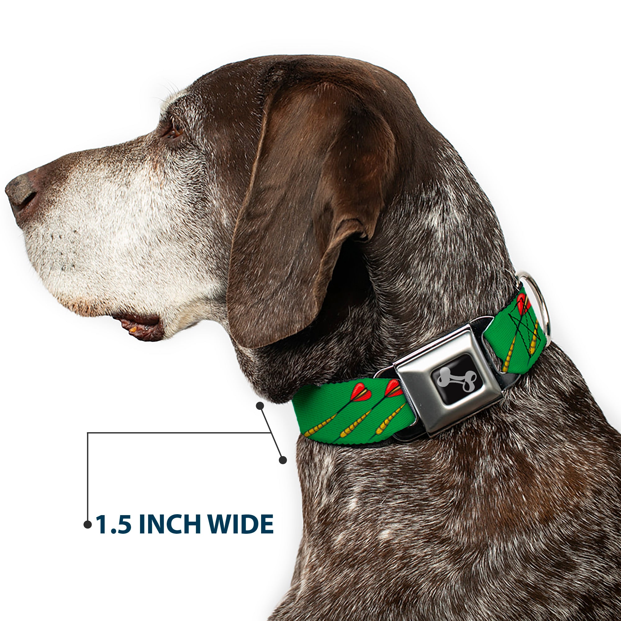 Dog Bone Seatbelt Buckle Collar - Darts Green/Multi Color Seatbelt Buckle Collars Buckle-Down