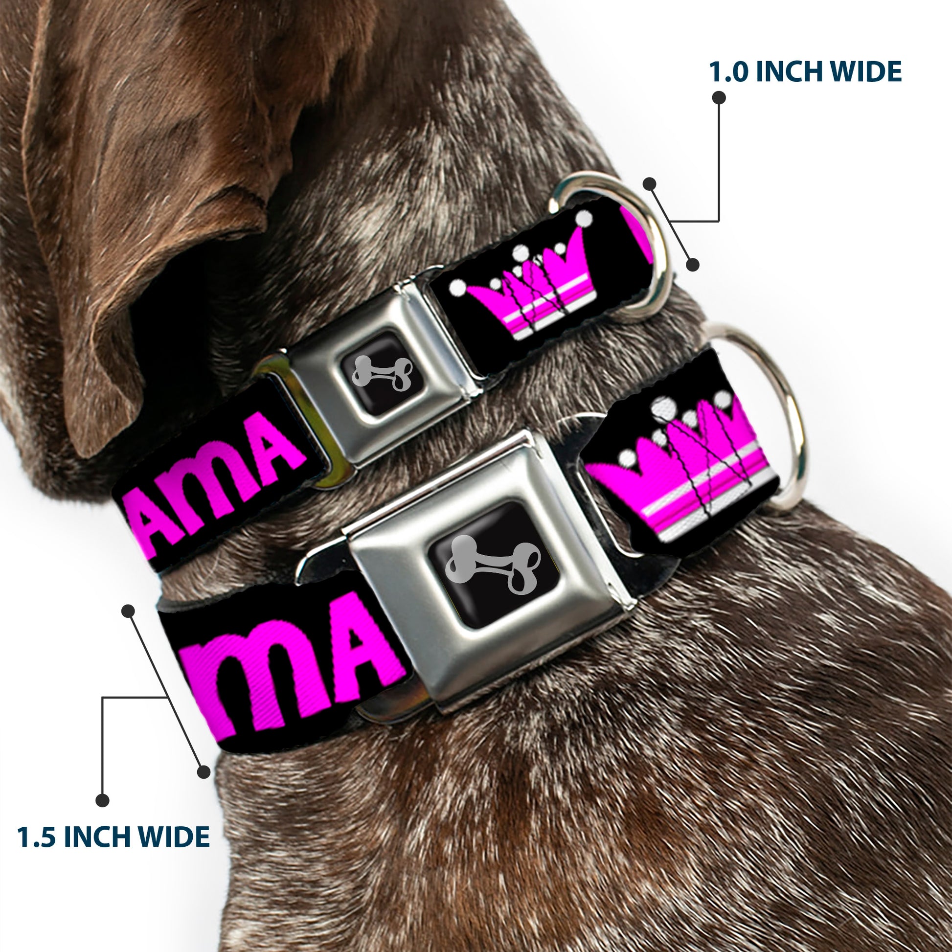 Dog Bone Seatbelt Buckle Collar - DRAMA QUEEN Black/Fuchsia Seatbelt Buckle Collars Buckle-Down