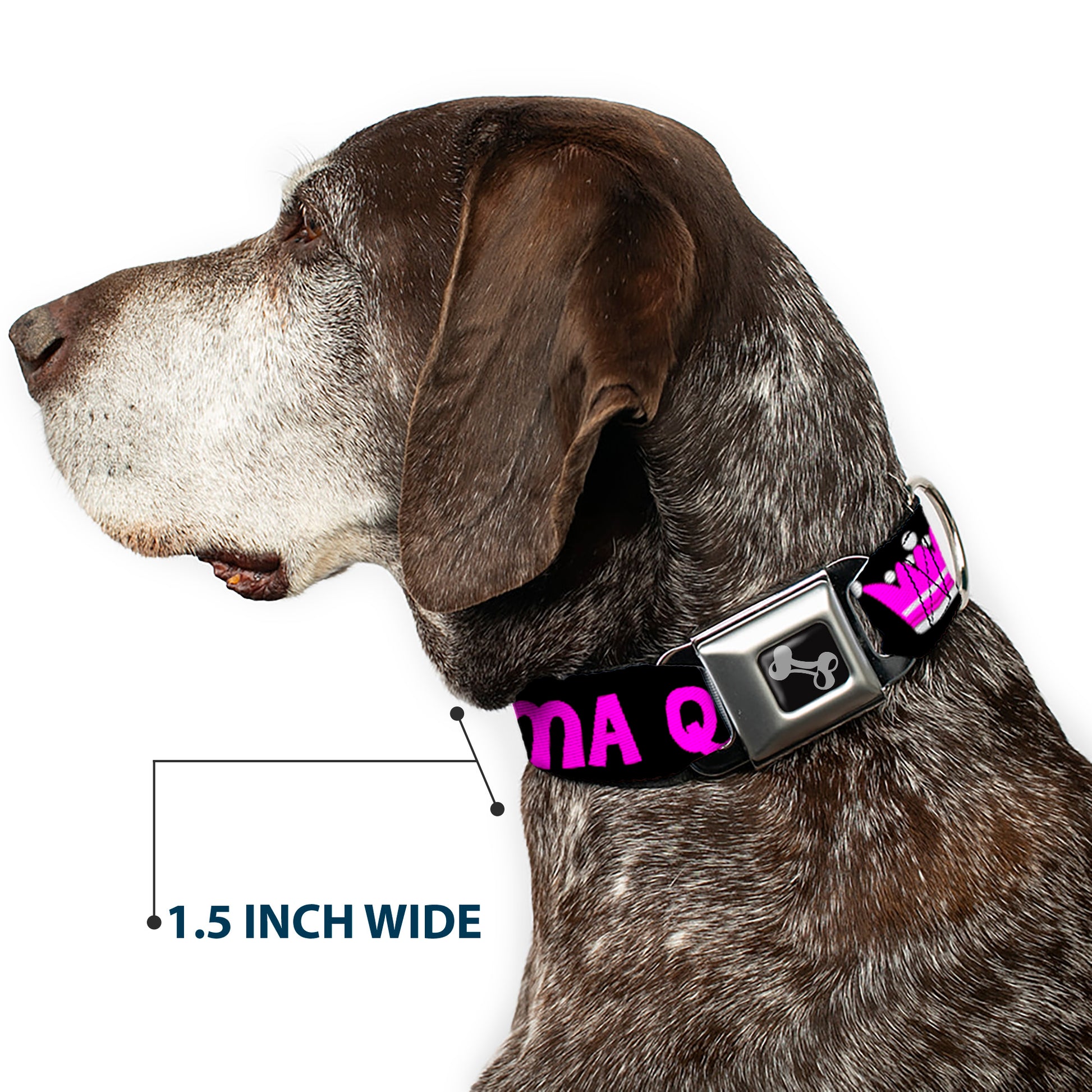 Dog Bone Seatbelt Buckle Collar - DRAMA QUEEN Black/Fuchsia Seatbelt Buckle Collars Buckle-Down