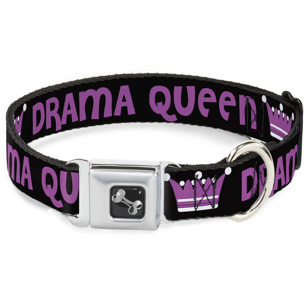 Dog Bone Seatbelt Buckle Collar - DRAMA QUEEN Black/Fuchsia Seatbelt Buckle Collars Buckle-Down