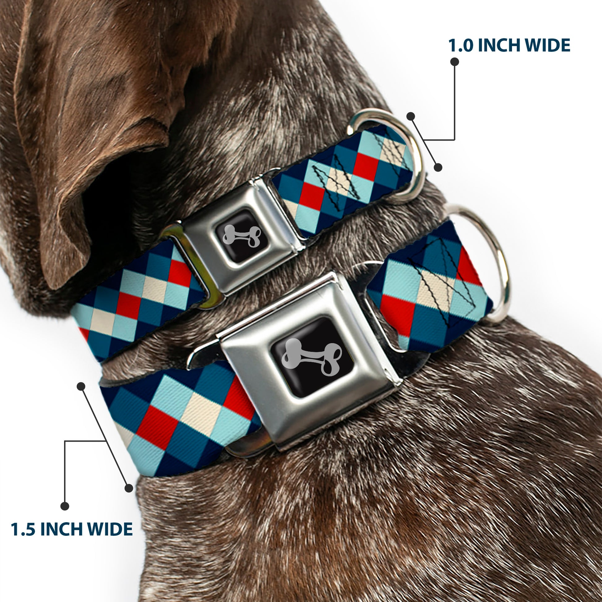 Dog Bone Seatbelt Buckle Collar - Diamond Plaid Blues/Khaki/Red Seatbelt Buckle Collars Buckle-Down