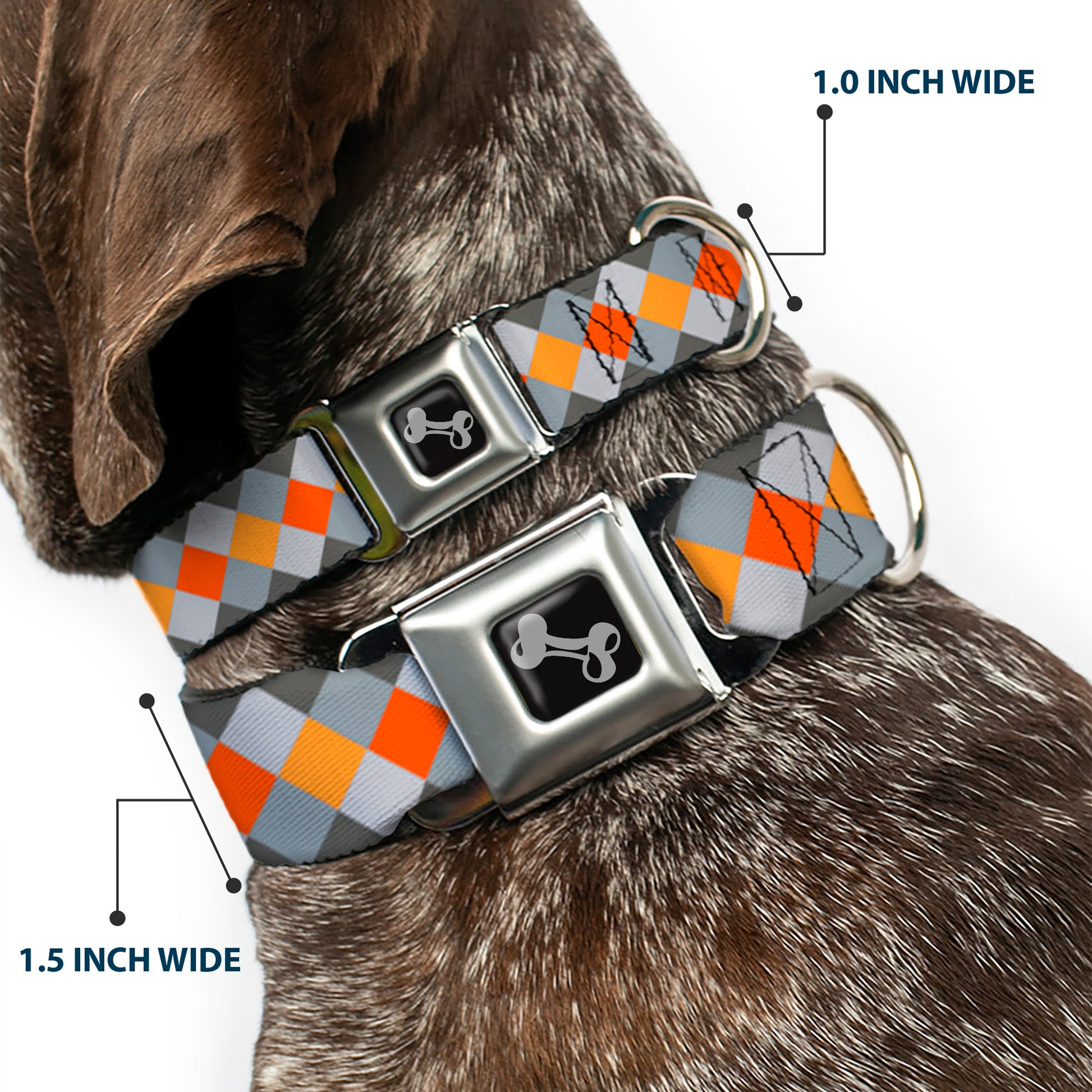 Dog Bone Seatbelt Buckle Collar - Diamond Plaid Grays/Orange Seatbelt Buckle Collars Buckle-Down