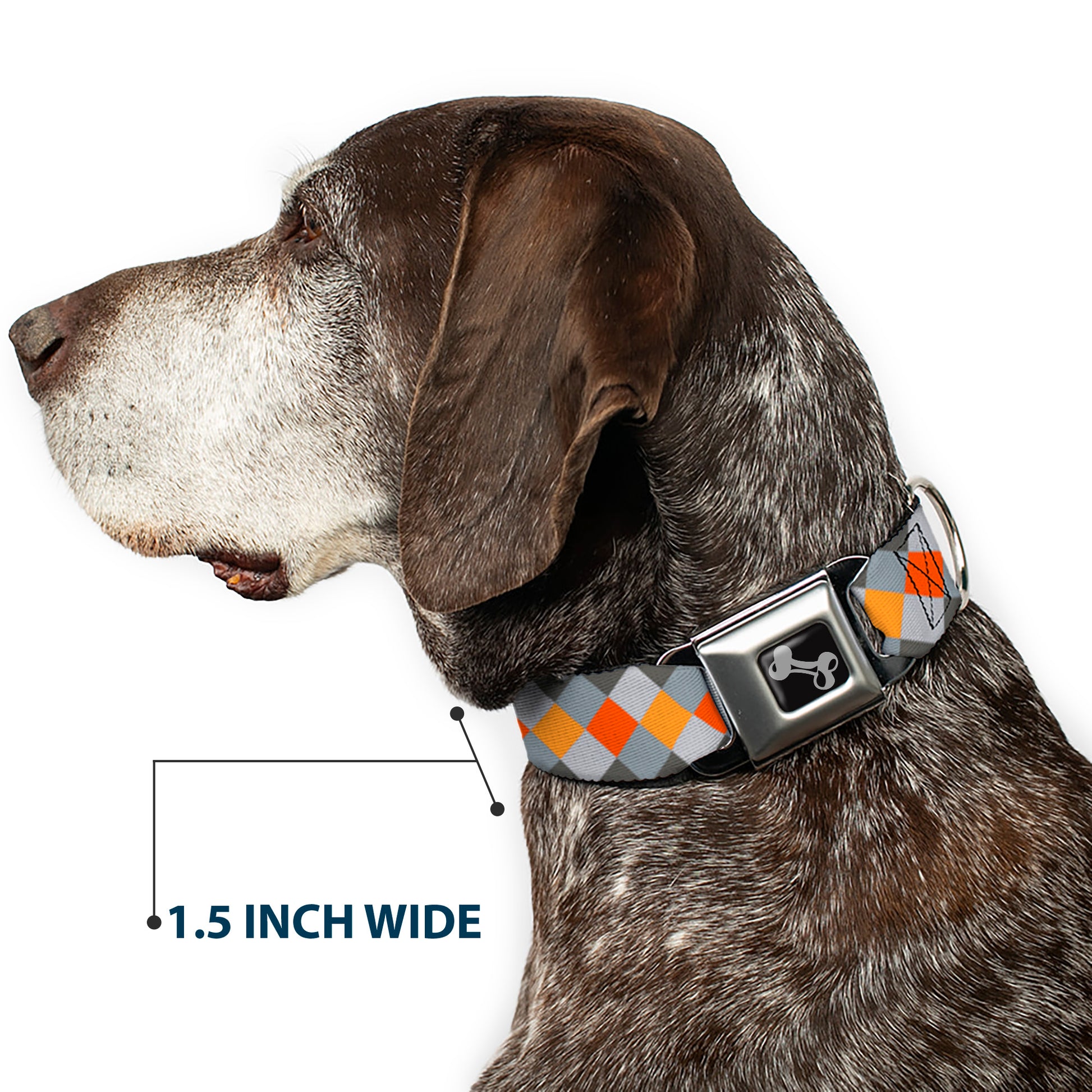 Dog Bone Seatbelt Buckle Collar - Diamond Plaid Grays/Orange Seatbelt Buckle Collars Buckle-Down