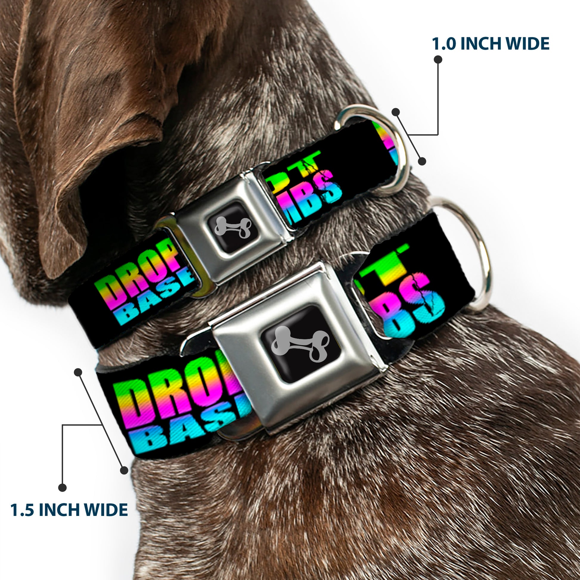 Dog Bone Seatbelt Buckle Collar - DROP BASS NOT BOMBS Black/Rainbow Seatbelt Buckle Collars Buckle-Down