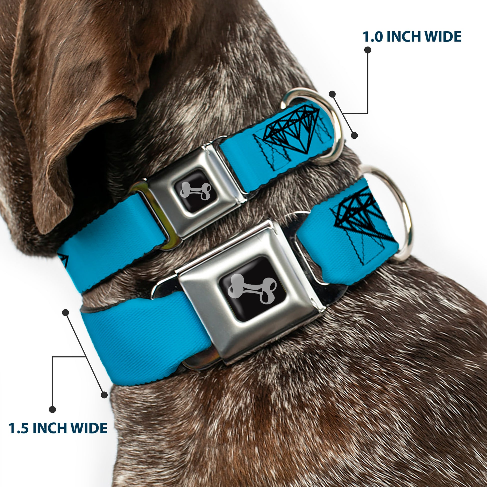 Dog Bone Seatbelt Buckle Collar - Diamond Sketch Turquoise/Black Seatbelt Buckle Collars Buckle-Down