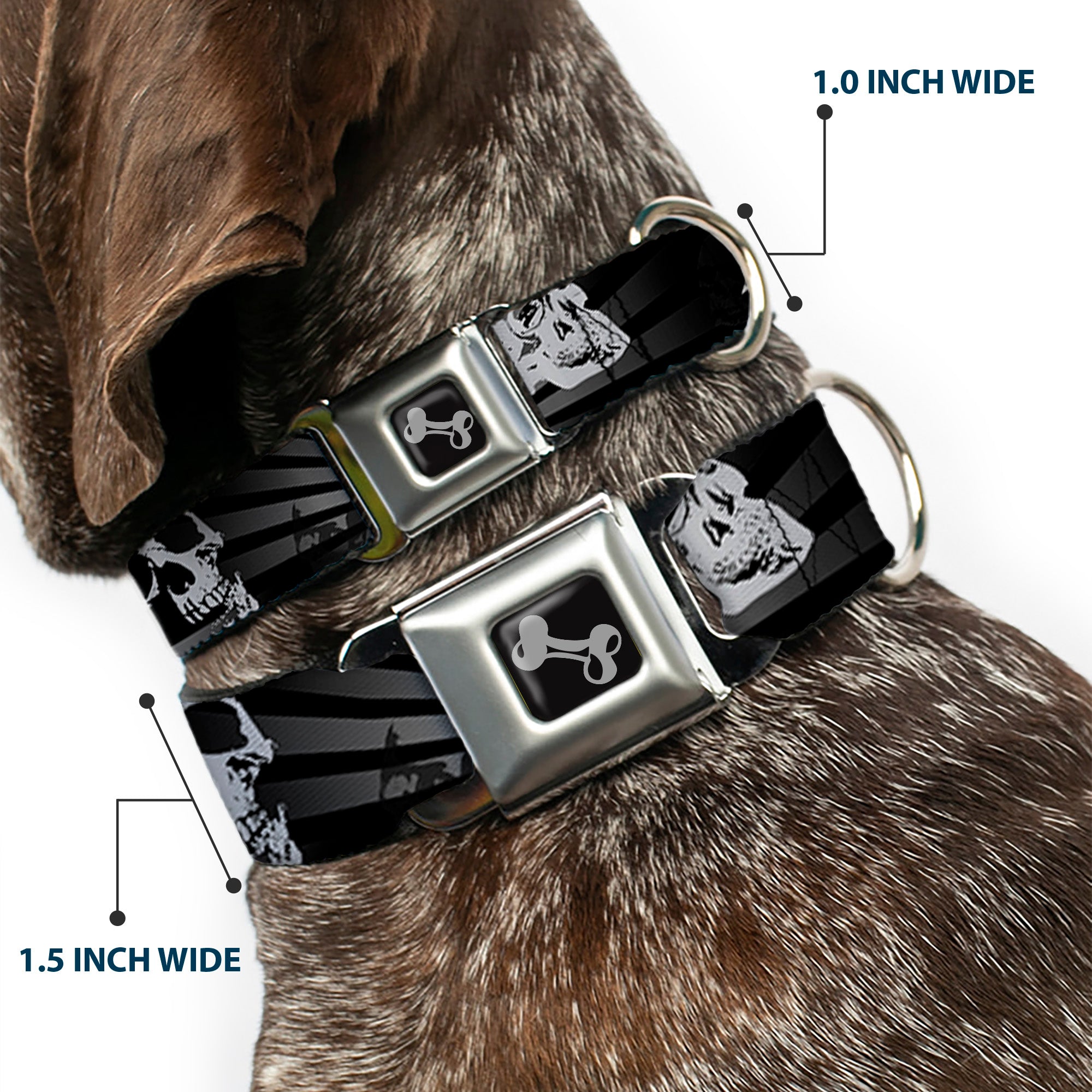 Dog Bone Seatbelt Buckle Collar - Die Hard Skulls & Stars1 Black/Grays Seatbelt Buckle Collars Buckle-Down