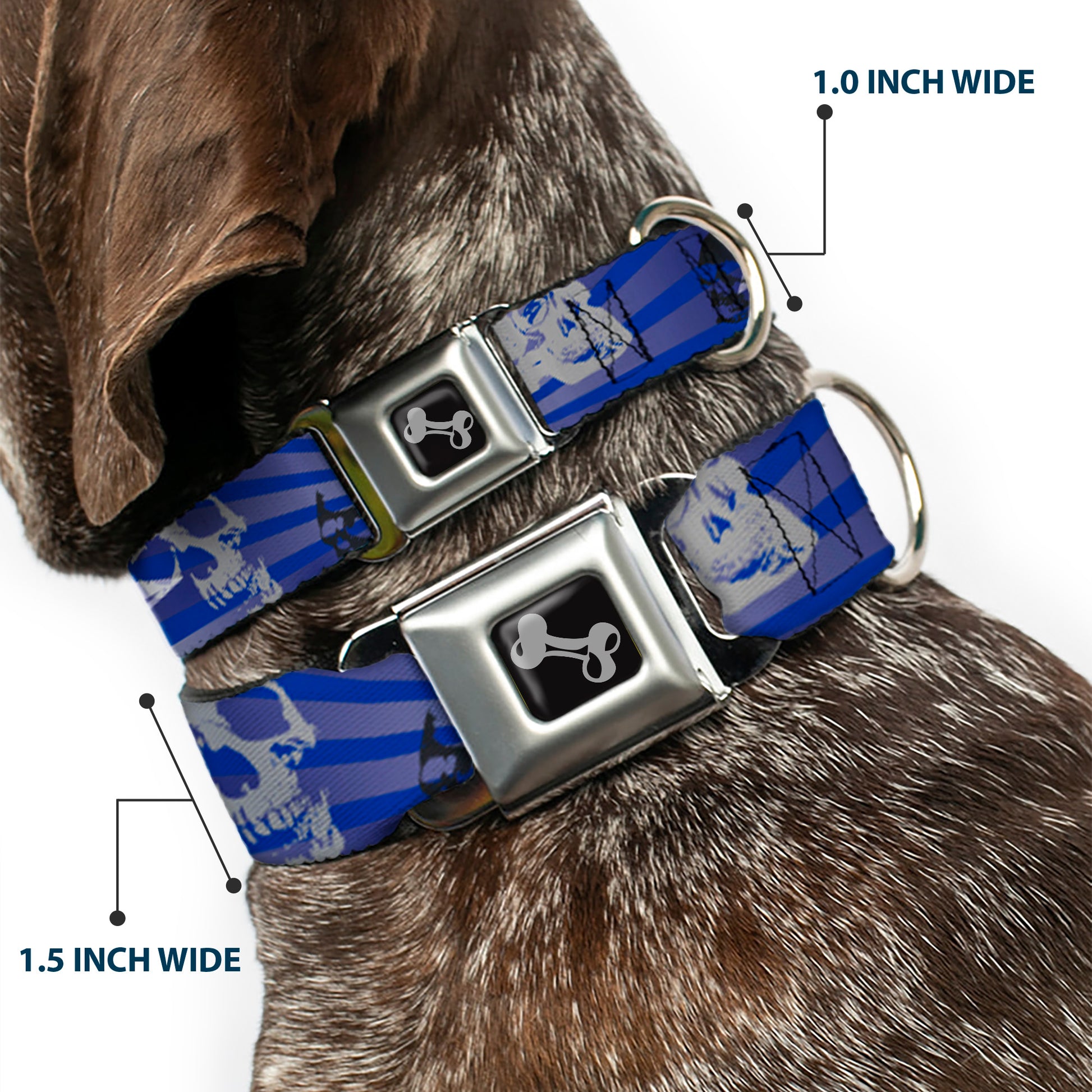 Dog Bone Seatbelt Buckle Collar - Die Hard Skulls & Stars1 Blue/Grays Seatbelt Buckle Collars Buckle-Down