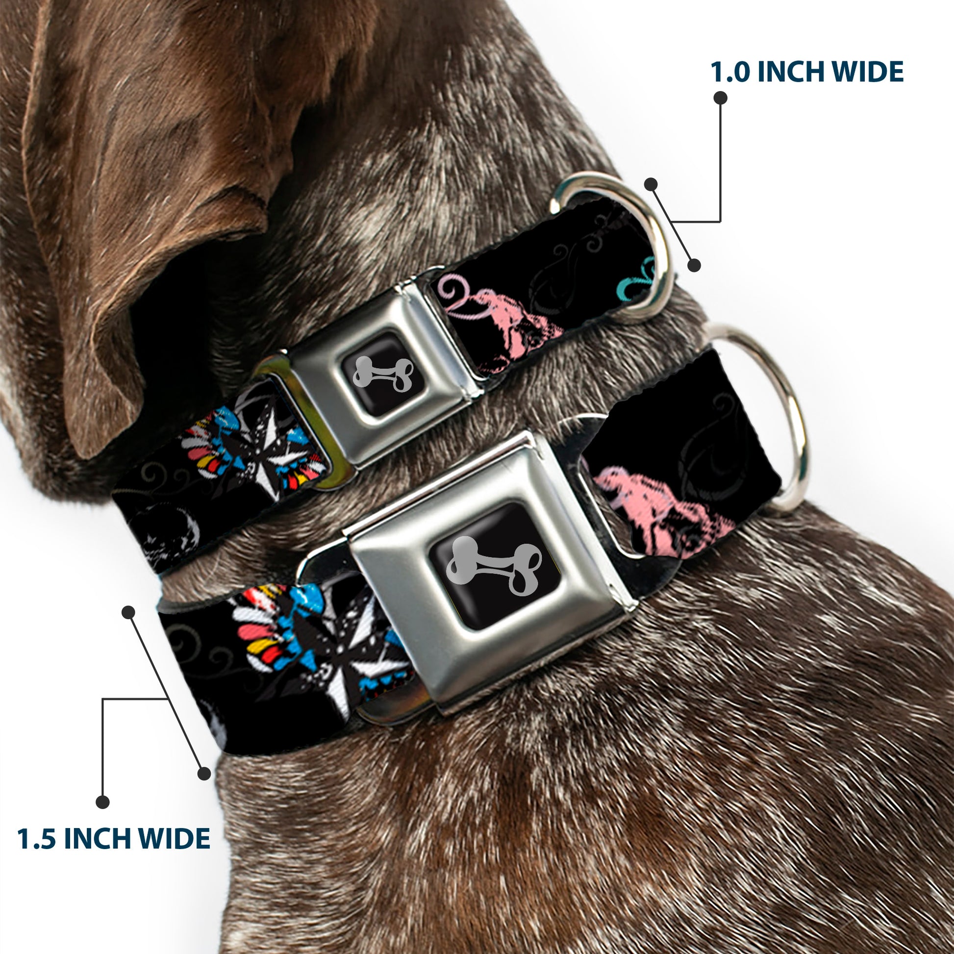 Dog Bone Seatbelt Buckle Collar - Die Hard Skulls & Stars2 Black/Multi Color Seatbelt Buckle Collars Buckle-Down