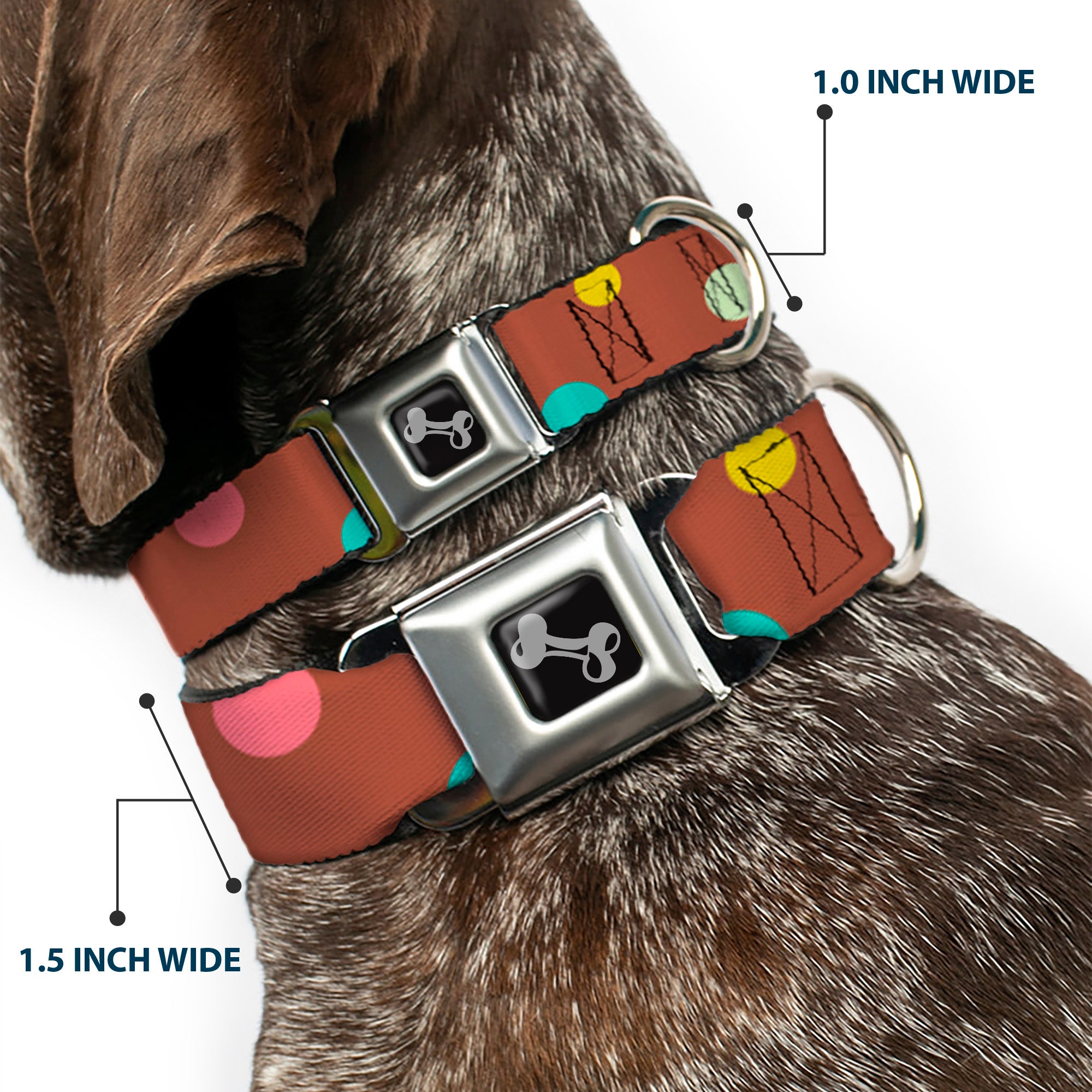 Dog Bone Seatbelt Buckle Collar - Dots Brown/Multi Pastel Seatbelt Buckle Collars Buckle-Down