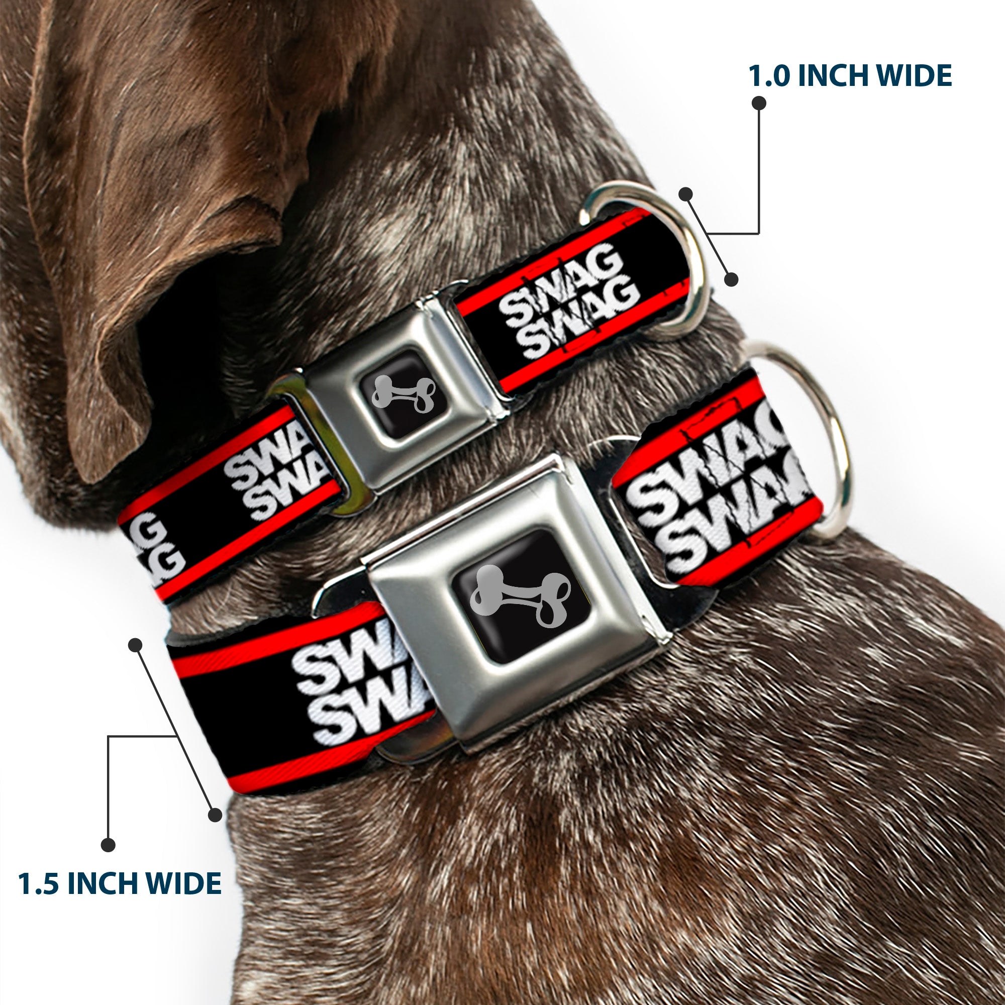 Dog Bone Seatbelt Buckle Collar - Double SWAG Black/White/Red Stripe Seatbelt Buckle Collars Buckle-Down