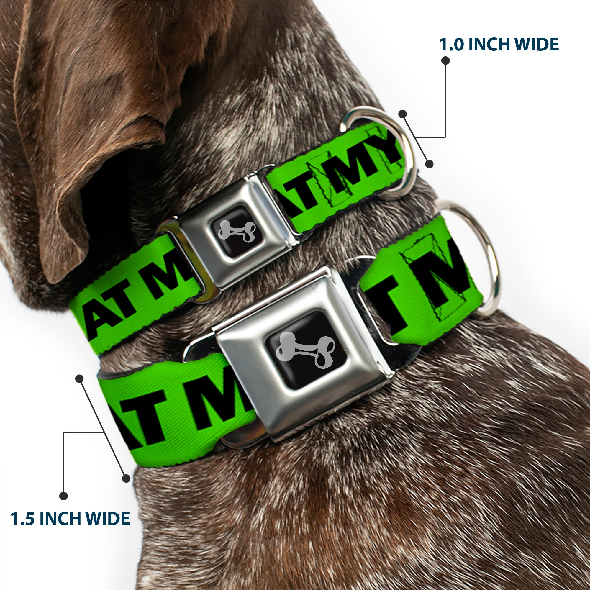 Dog Bone Seatbelt Buckle Collar - DON'T SWEAT MY SWAG Neon Green/Black/Red Seatbelt Buckle Collars Buckle-Down