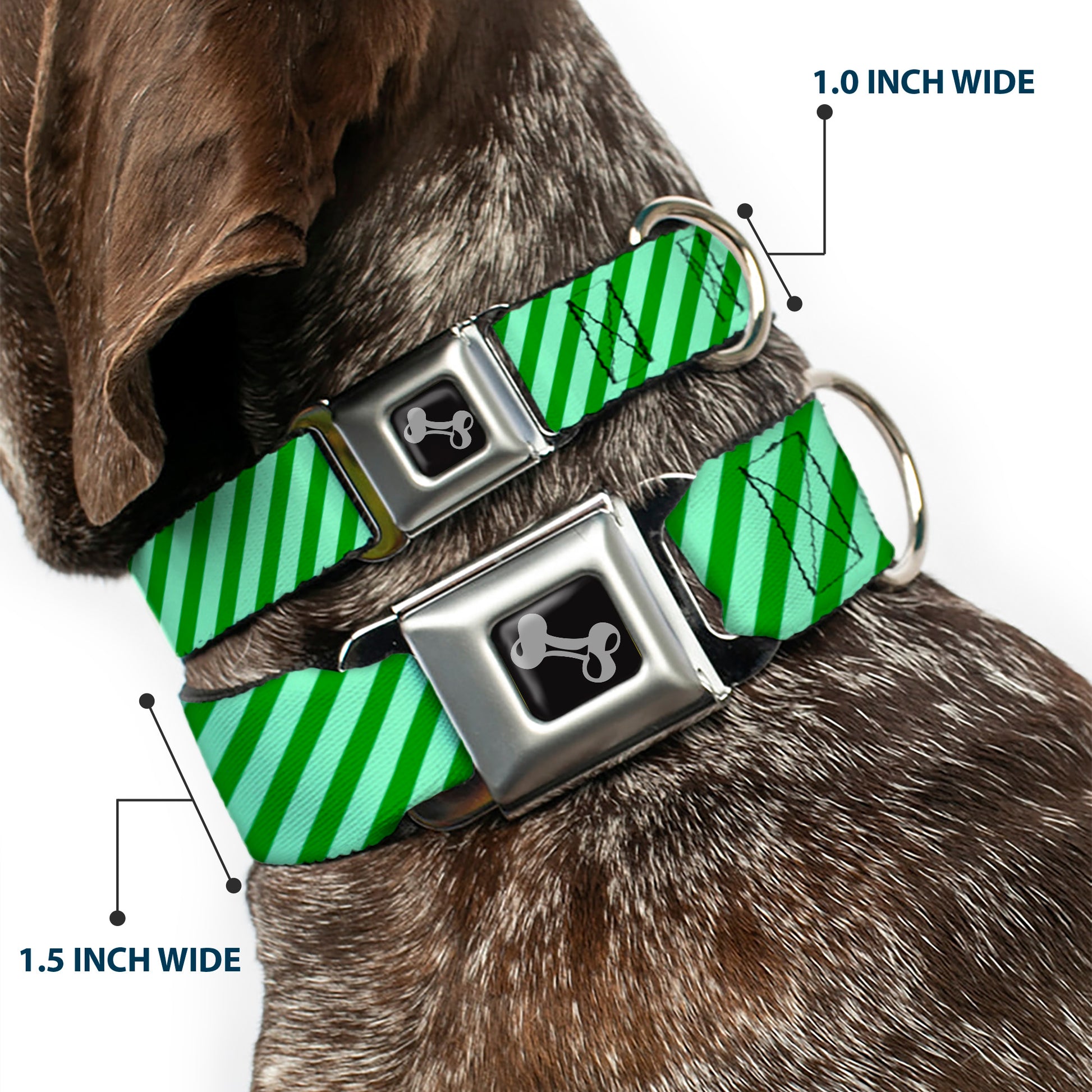 Dog Bone Seatbelt Buckle Collar - Diagonal Stripes Pastel Greens Seatbelt Buckle Collars Buckle-Down
