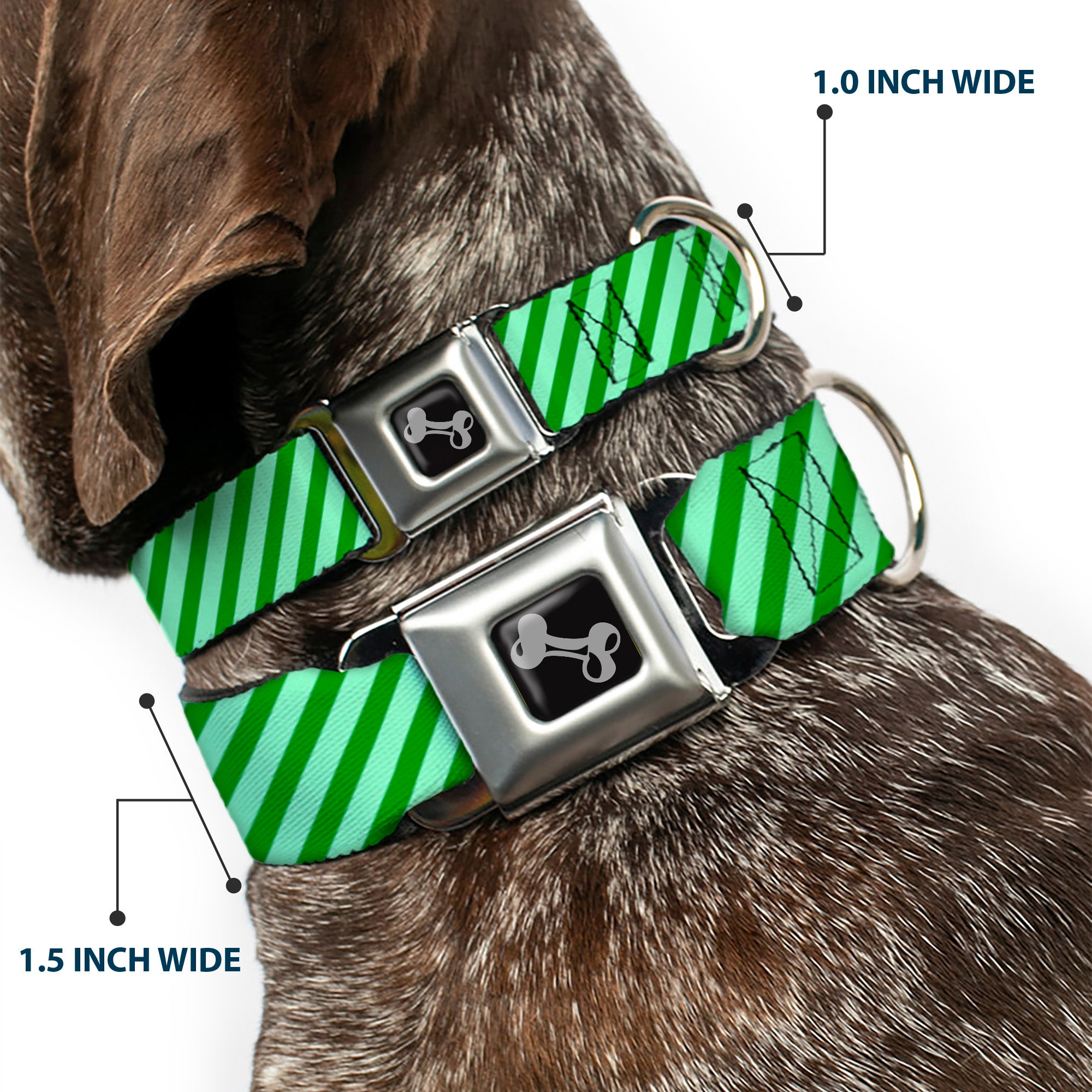 Dog Bone Seatbelt Buckle Collar - Diagonal Stripes Pastel Greens Seatbelt Buckle Collars Buckle-Down