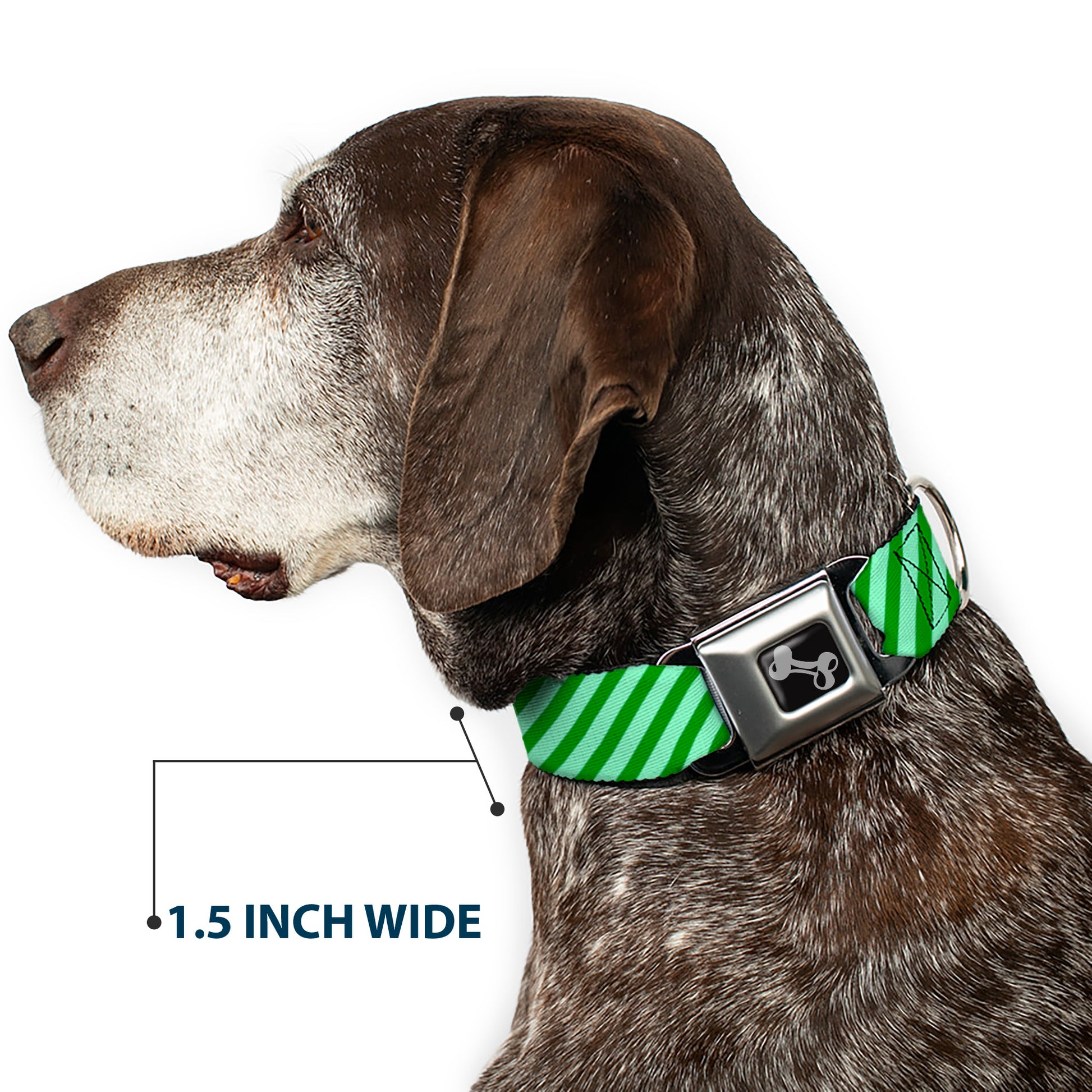 Dog Bone Seatbelt Buckle Collar - Diagonal Stripes Pastel Greens Seatbelt Buckle Collars Buckle-Down