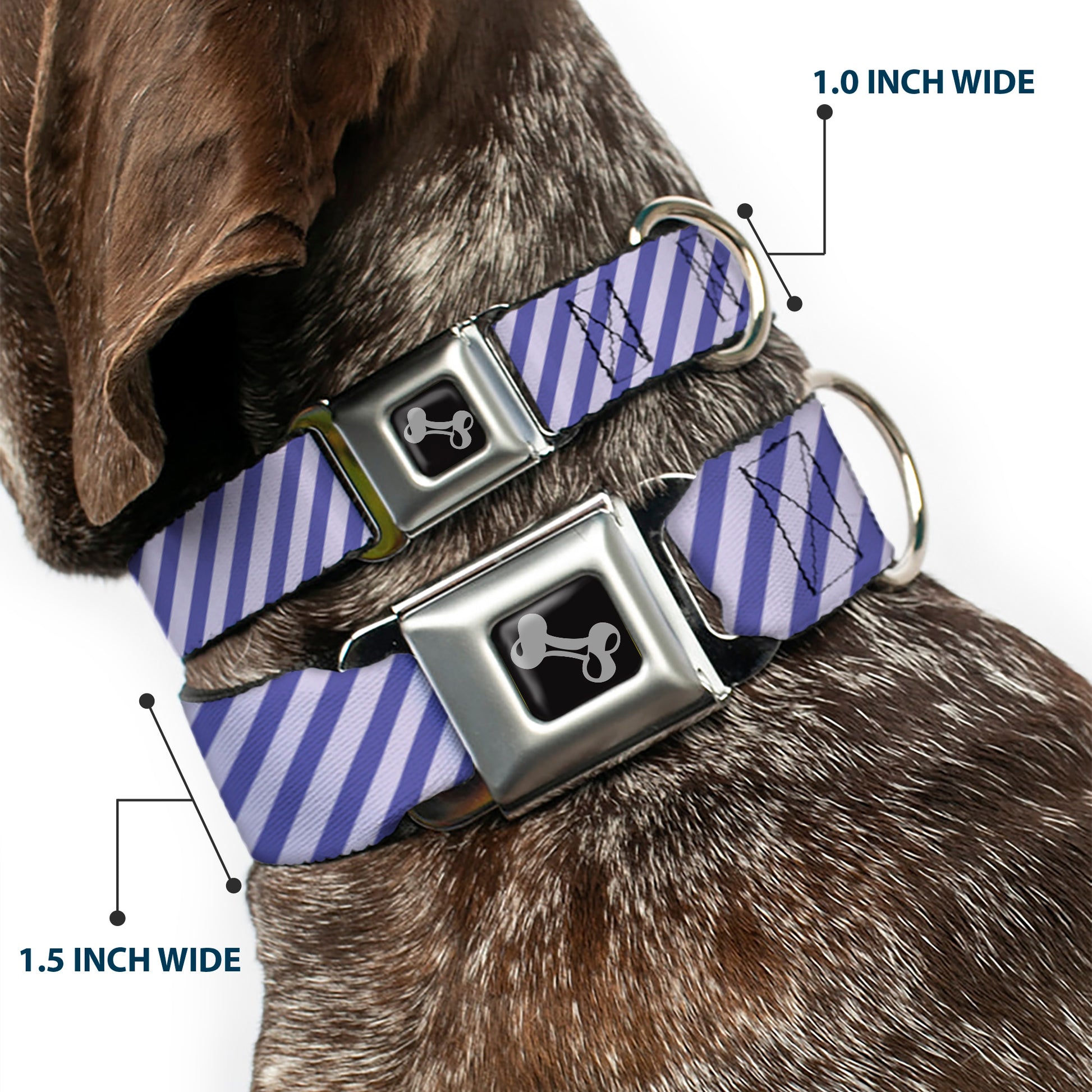 Dog Bone Seatbelt Buckle Collar - Diagonal Stripes Pastel Blues Seatbelt Buckle Collars Buckle-Down