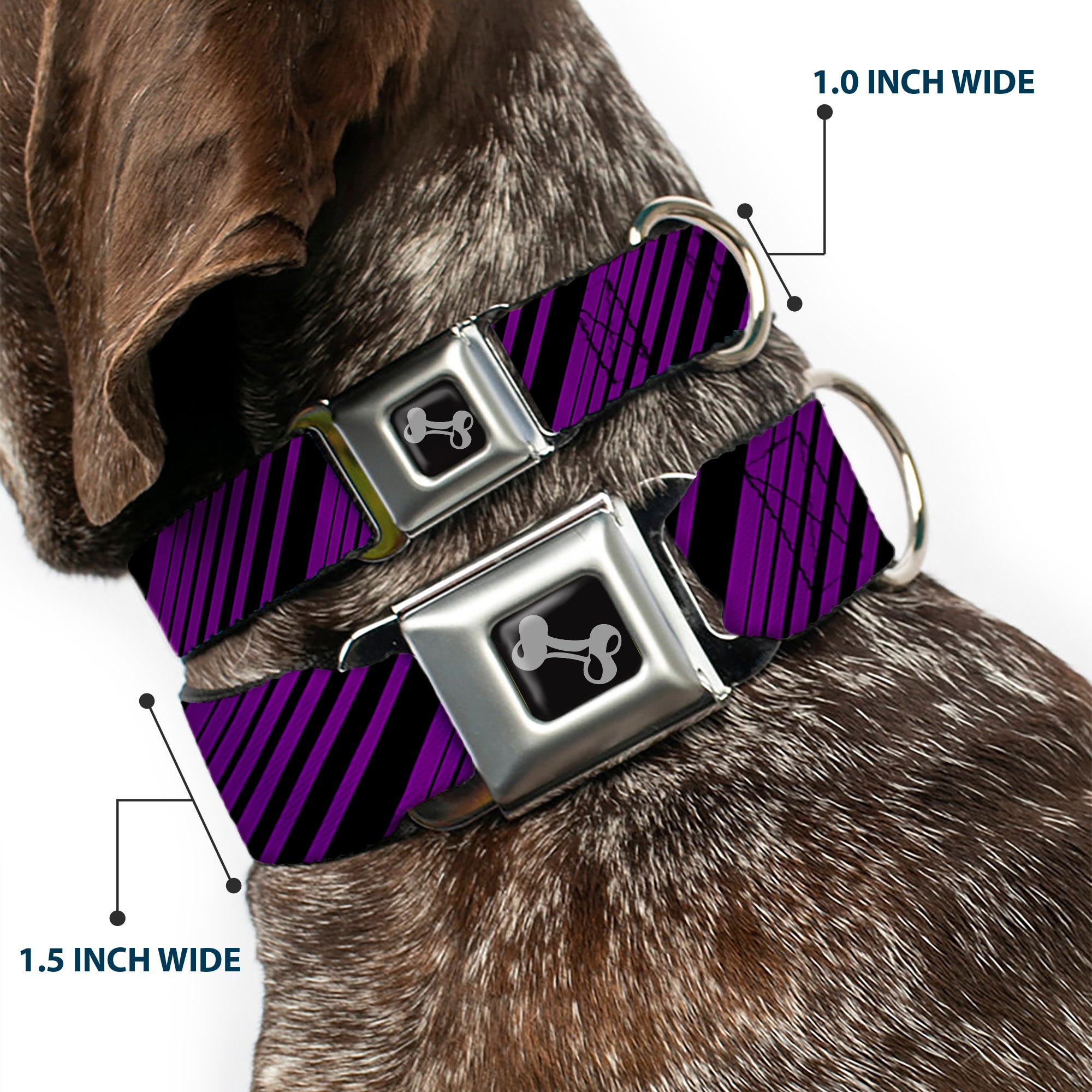 Dog Bone Seatbelt Buckle Collar - Diagonal Stripes Purples Seatbelt Buckle Collars Buckle-Down