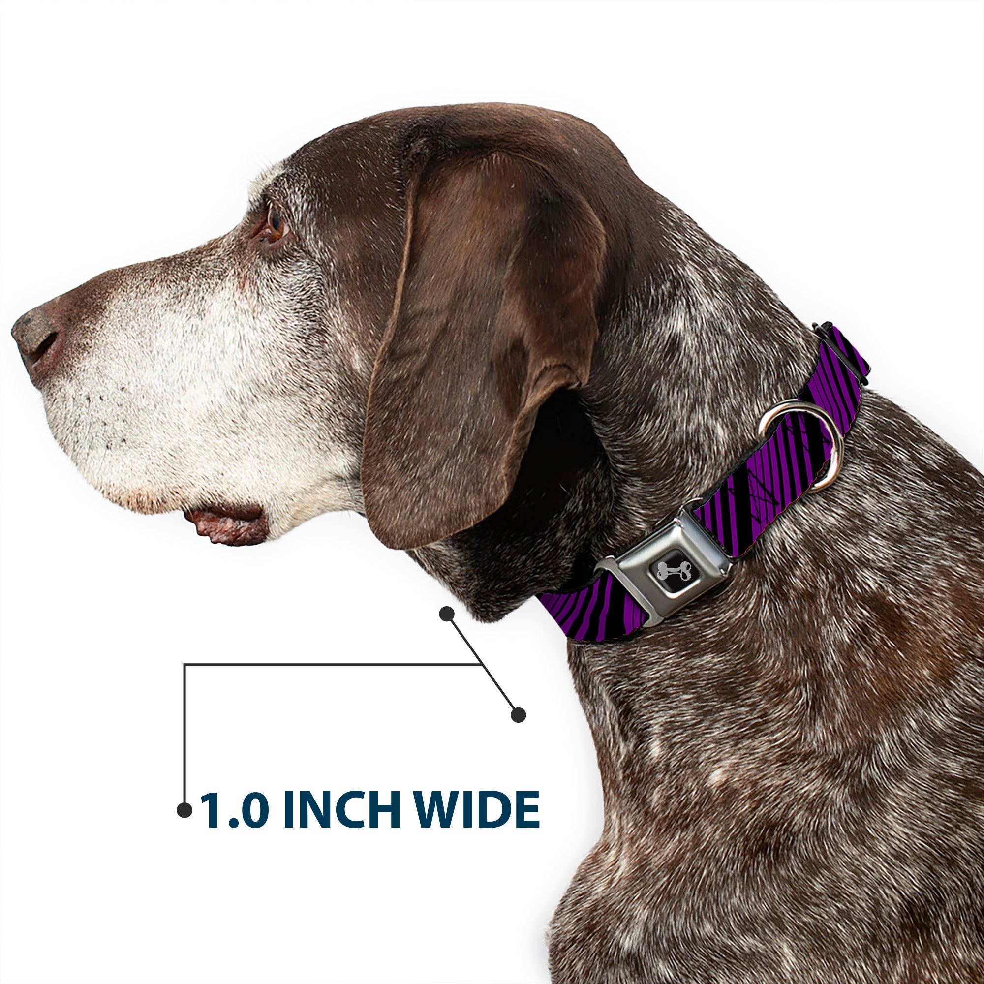 Dog Bone Seatbelt Buckle Collar - Diagonal Stripes Purples Seatbelt Buckle Collars Buckle-Down