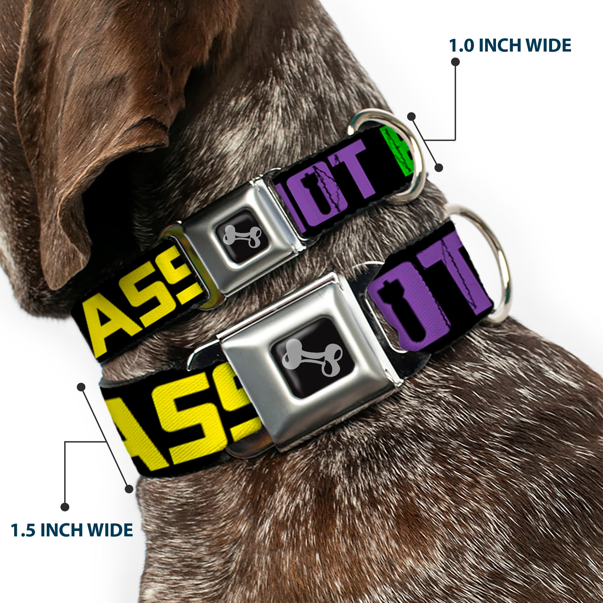 Dog Bone Seatbelt Buckle Collar - DROP BASS NOT BOMBS Black/Blue/Yellow/Purple/Green Seatbelt Buckle Collars Buckle-Down