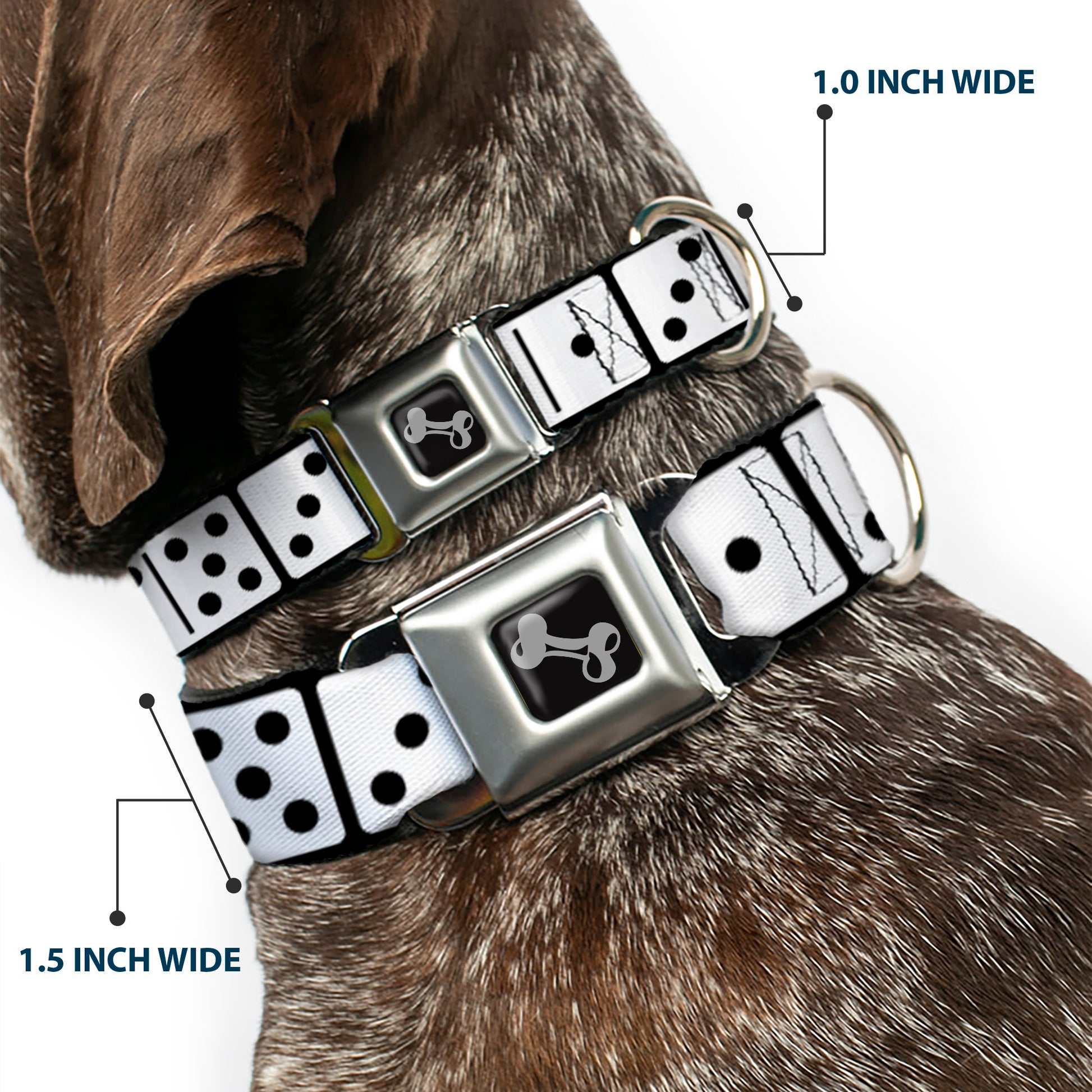 Dog Bone Seatbelt Buckle Collar - Dominoes Black/White/Black Seatbelt Buckle Collars Buckle-Down
