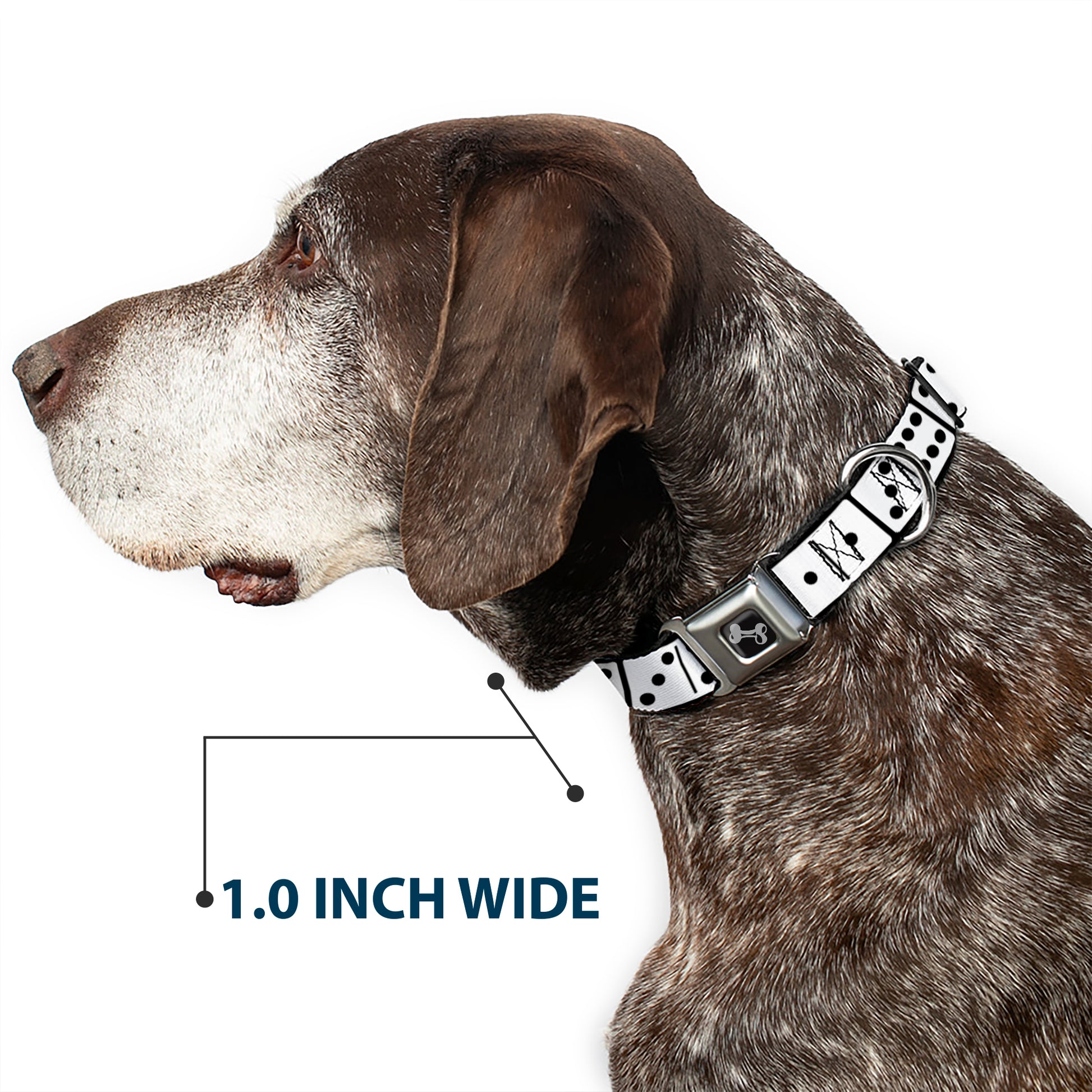 Dog Bone Seatbelt Buckle Collar - Dominoes Black/White/Black Seatbelt Buckle Collars Buckle-Down