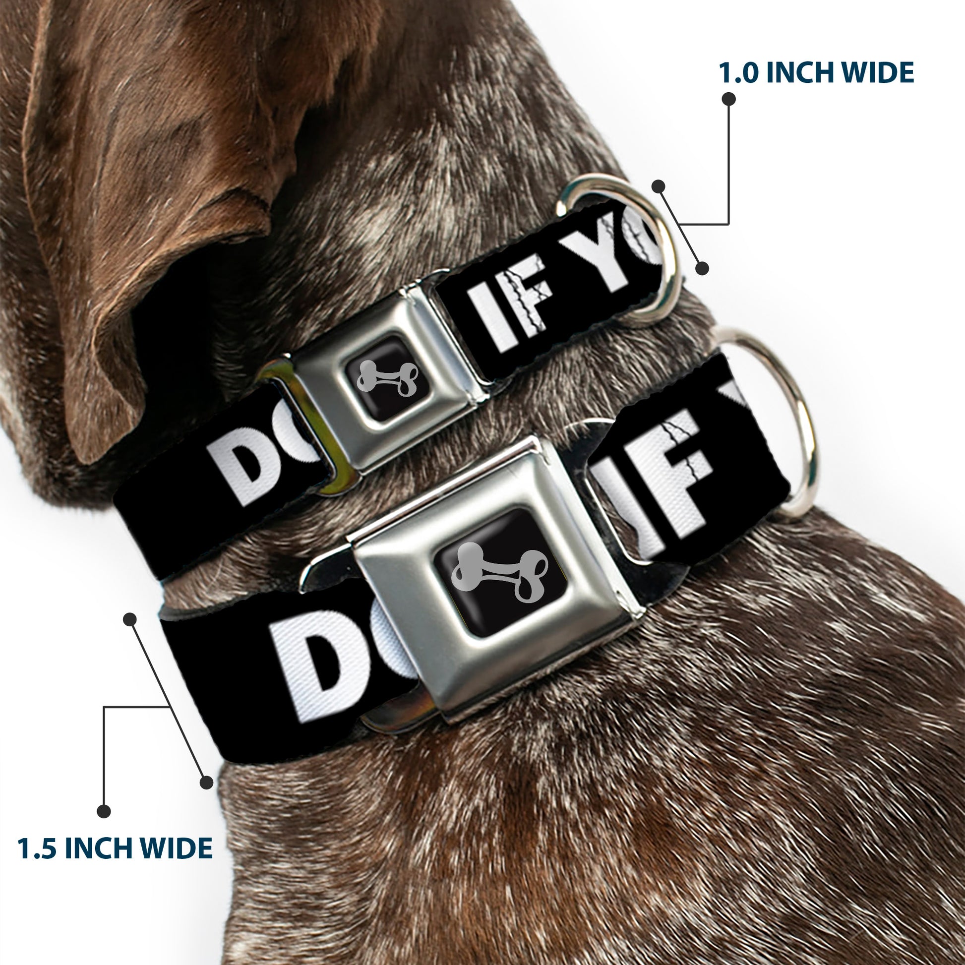 Dog Bone Seatbelt Buckle Collar - DON'T BRO ME IF YOU DON'T KNOW ME Black/White/Red Seatbelt Buckle Collars Buckle-Down