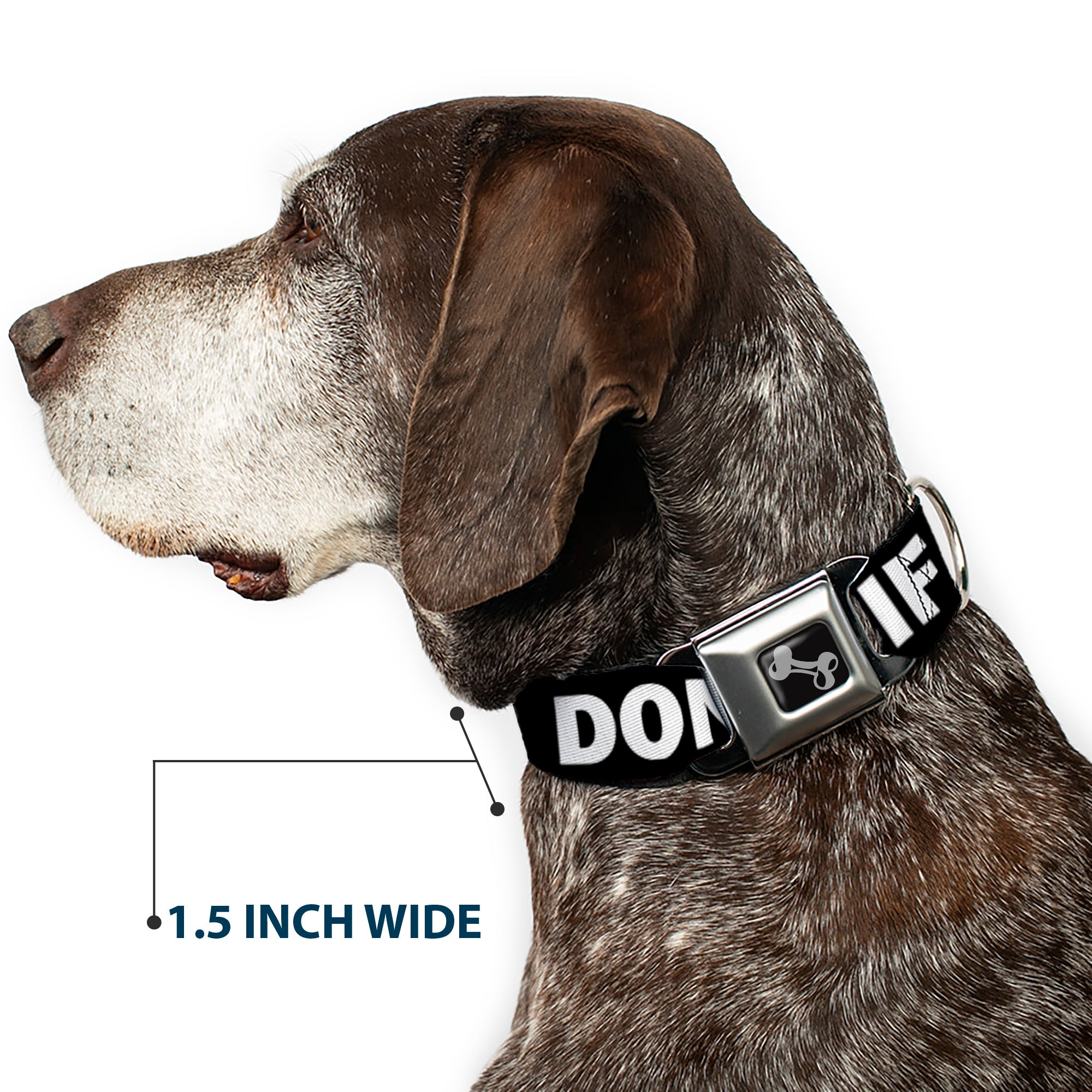 Dog Bone Seatbelt Buckle Collar - DON'T BRO ME IF YOU DON'T KNOW ME Black/White/Red Seatbelt Buckle Collars Buckle-Down