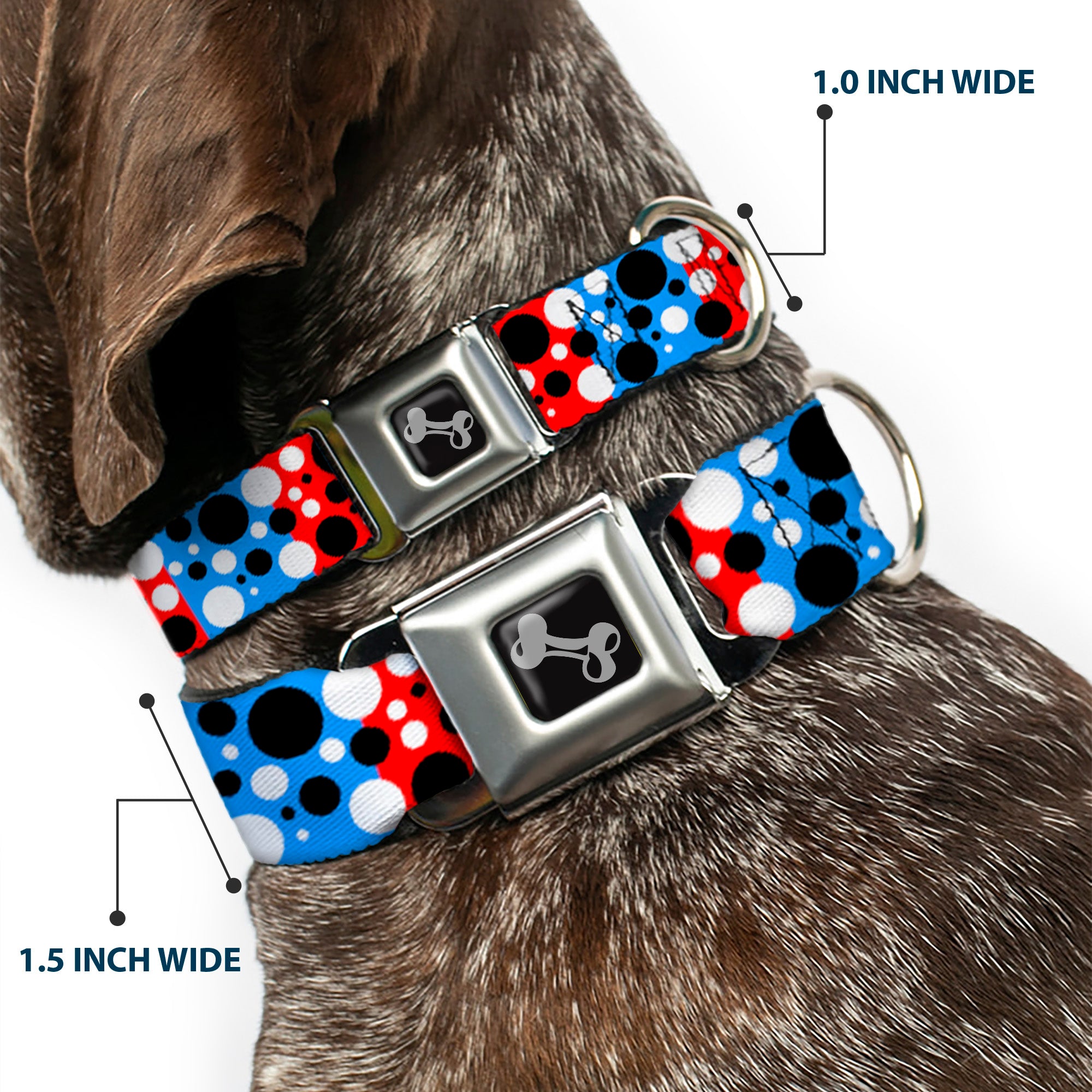 Dog Bone Seatbelt Buckle Collar - Dot Blocks Blue/Red/Black/White Seatbelt Buckle Collars Buckle-Down