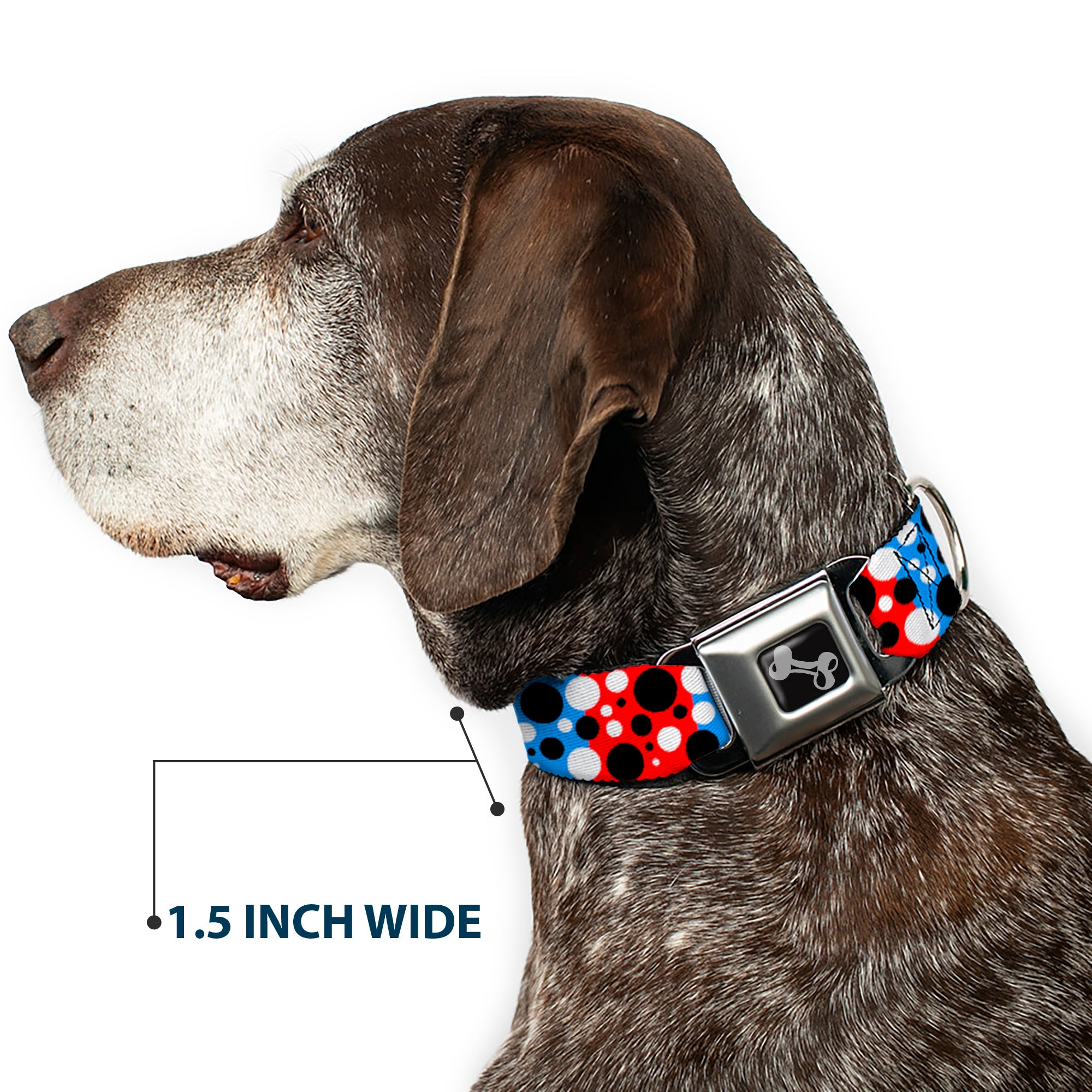 Dog Bone Seatbelt Buckle Collar - Dot Blocks Blue/Red/Black/White Seatbelt Buckle Collars Buckle-Down