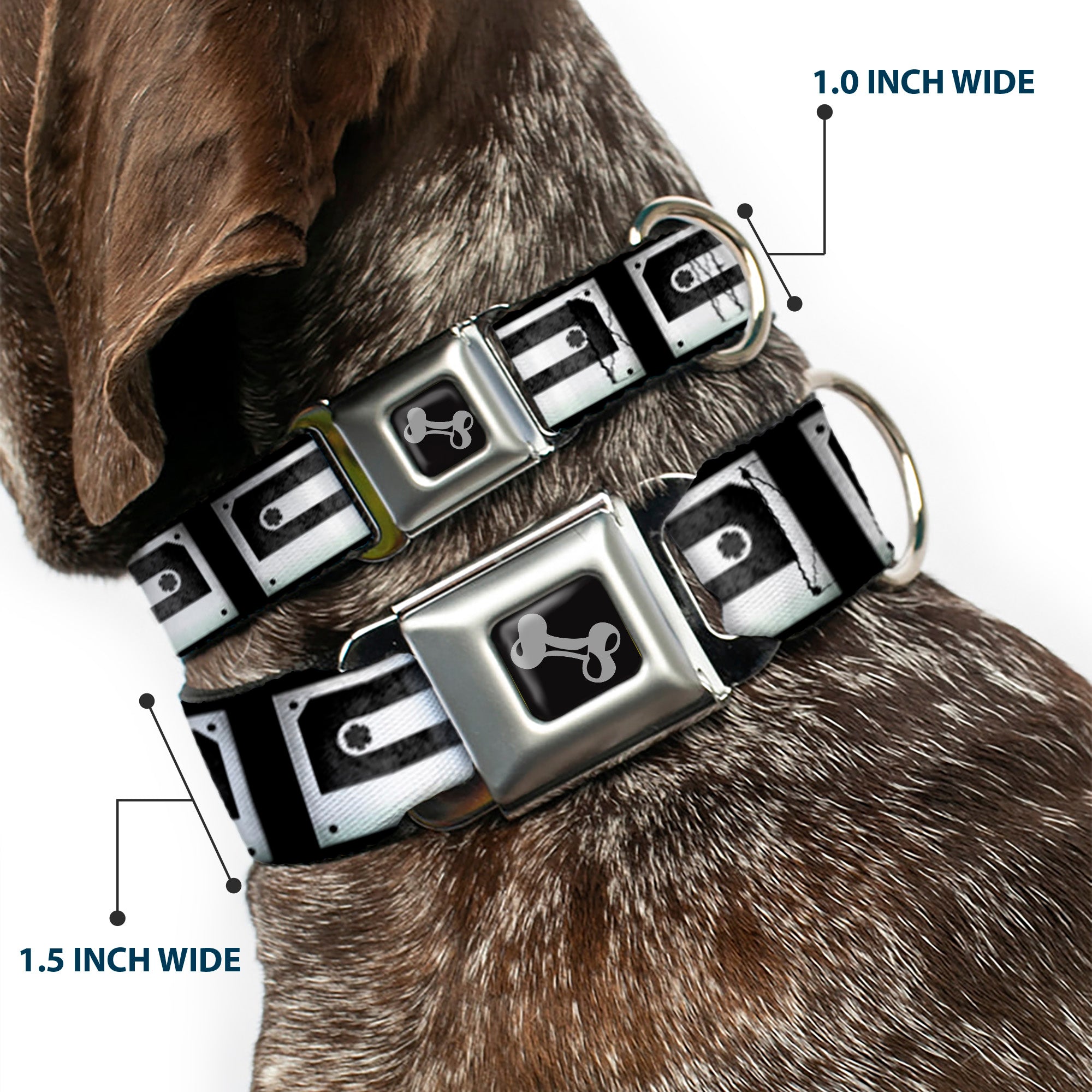 Dog Bone Seatbelt Buckle Collar - DC Cassette Tape Seatbelt Buckle Collars Buckle-Down
