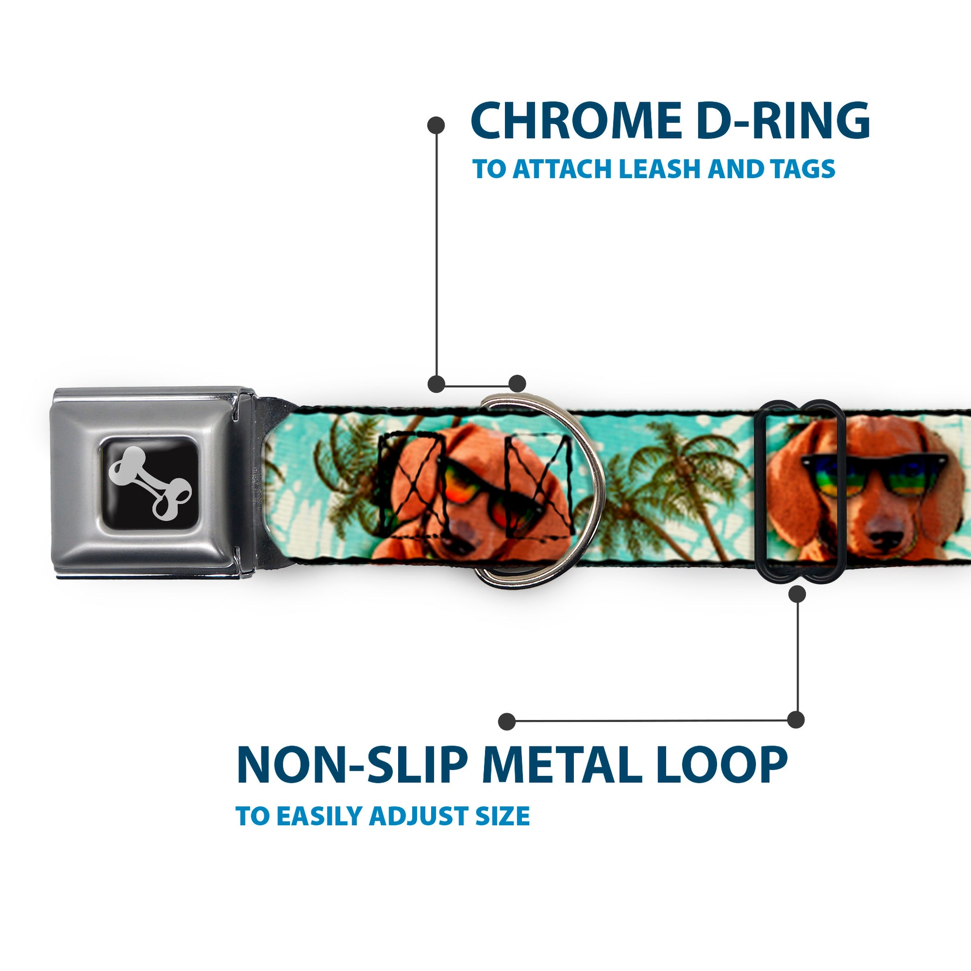 Dog Bone Seatbelt Buckle Collar - Dachshund in Shades w/Palm Trees Seatbelt Buckle Collars Buckle-Down