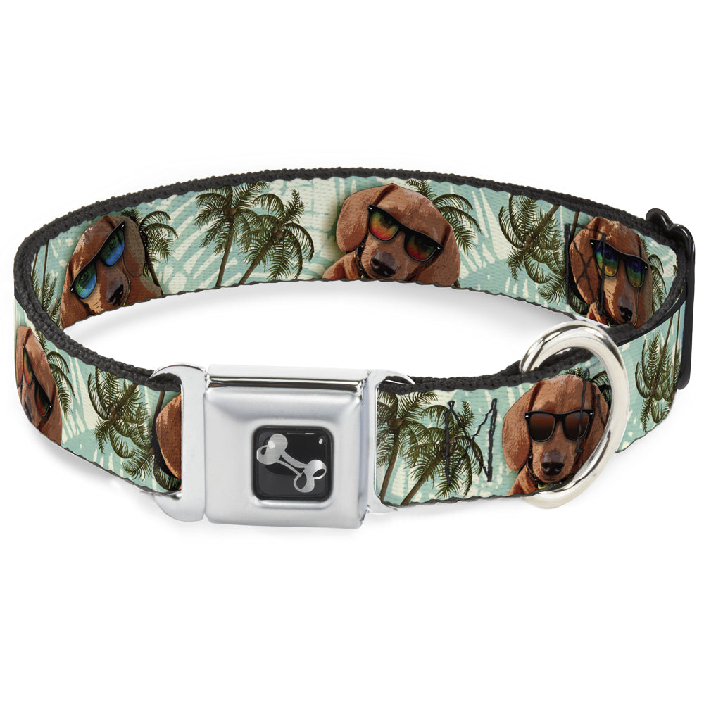 Dog Bone Seatbelt Buckle Collar - Dachshund in Shades w/Palm Trees Seatbelt Buckle Collars Buckle-Down