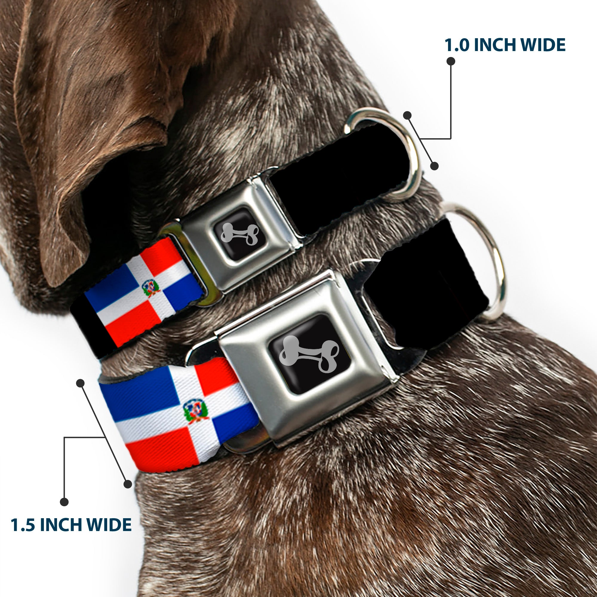 Dog Bone Seatbelt Buckle Collar - Dominican Republic Flags/Black Blocks Seatbelt Buckle Collars Buckle-Down