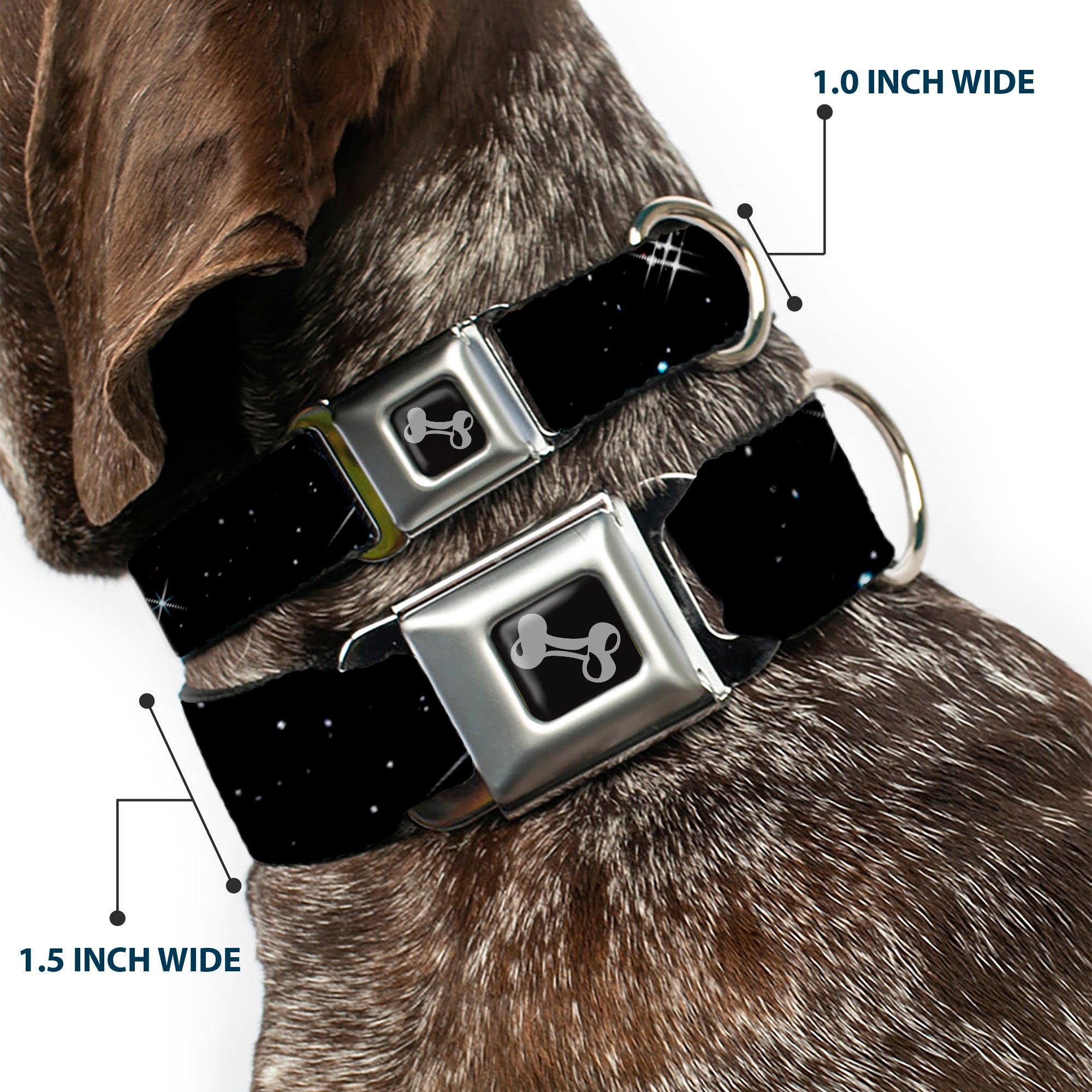 Dog Bone Seatbelt Buckle Collar - Deep Space Black/White Seatbelt Buckle Collars Buckle-Down