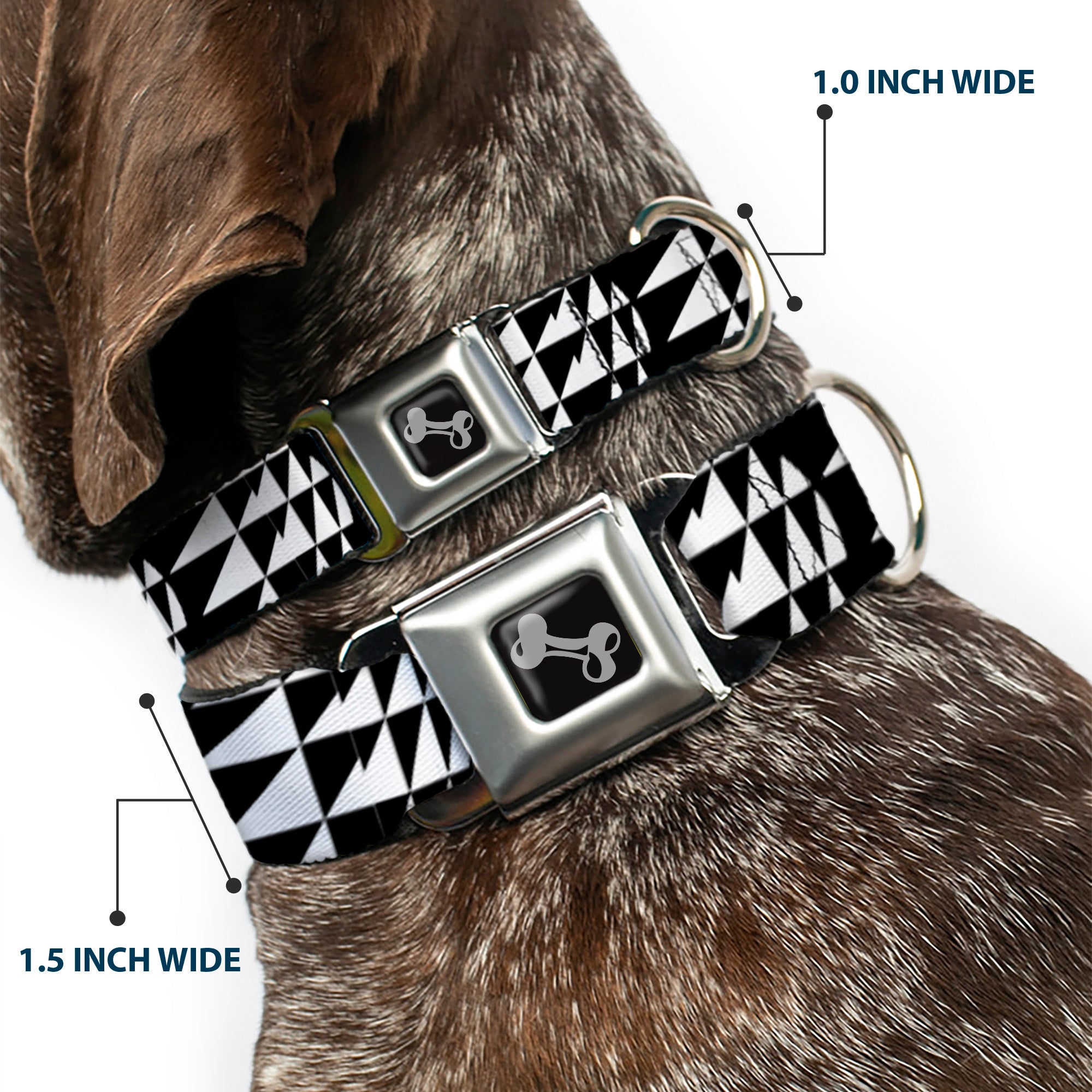 Dog Bone Seatbelt Buckle Collar - Eighties 8 Black/White Seatbelt Buckle Collars Buckle-Down