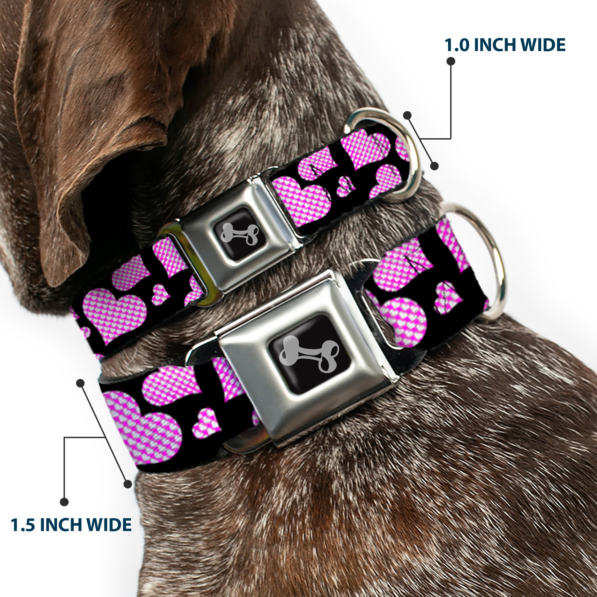 Dog Bone Seatbelt Buckle Collar - Eighties Hearts Black/Fuchsia/White Seatbelt Buckle Collars Buckle-Down