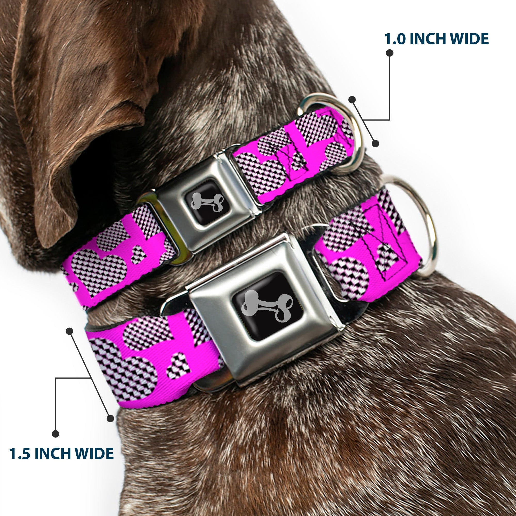 Dog Bone Seatbelt Buckle Collar - Eighties Hearts Fuchsia/Black/White Seatbelt Buckle Collars Buckle-Down