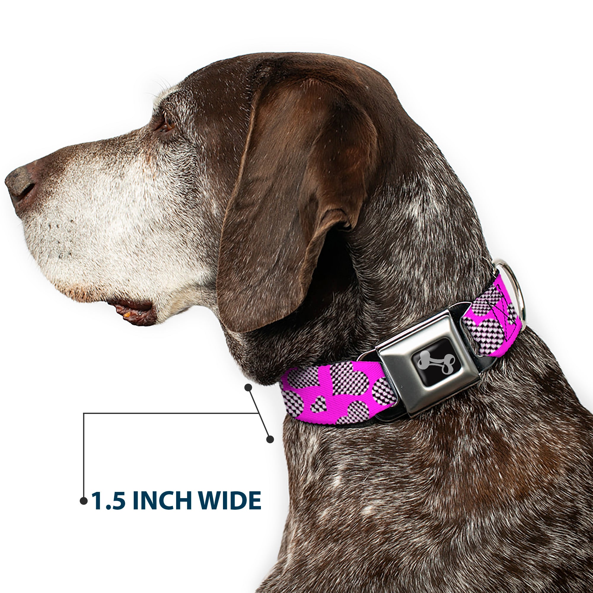 Dog Bone Seatbelt Buckle Collar - Eighties Hearts Fuchsia/Black/White Seatbelt Buckle Collars Buckle-Down