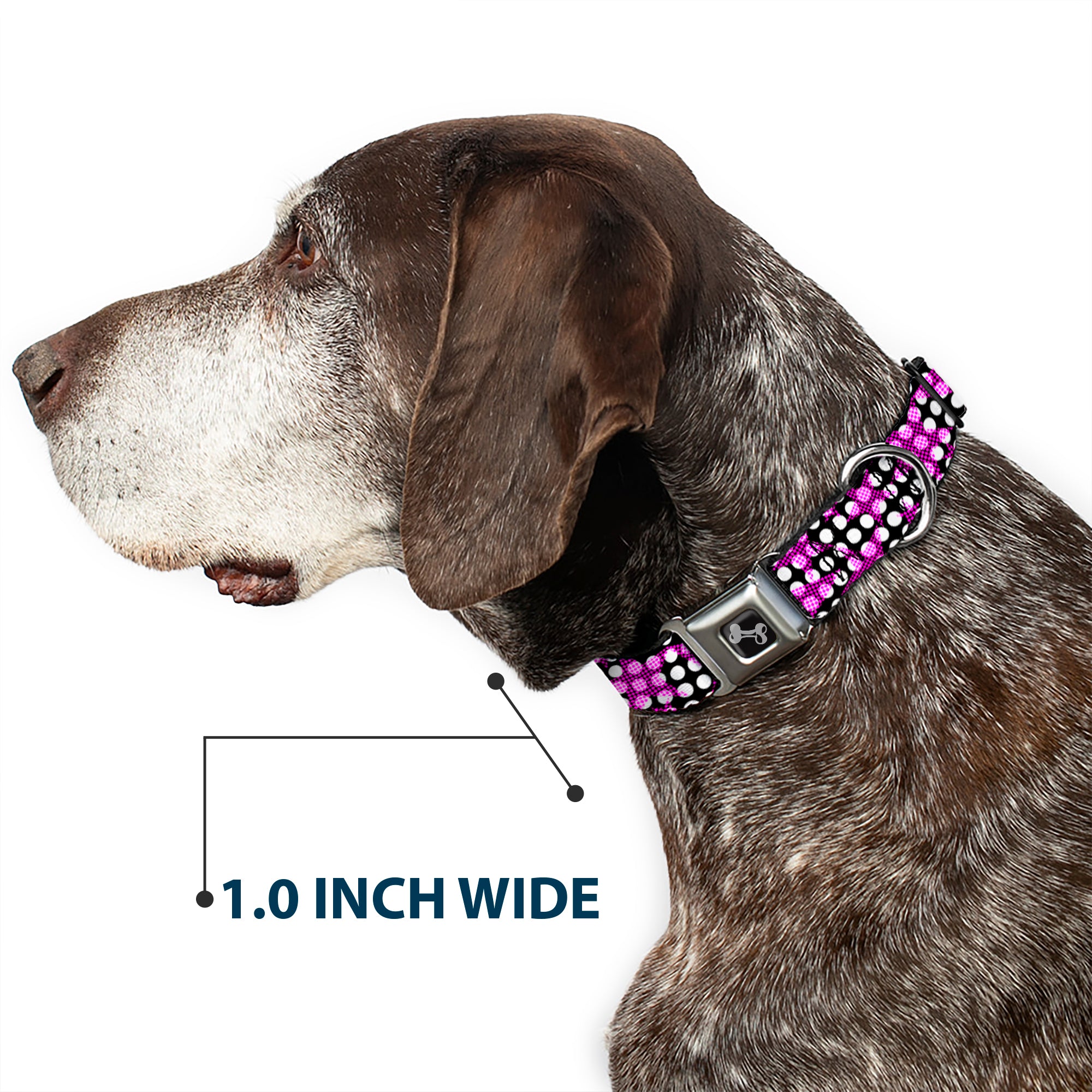 Dog Bone Seatbelt Buckle Collar - Eighties Stars1 Black/White/Fuchsia Seatbelt Buckle Collars Buckle-Down