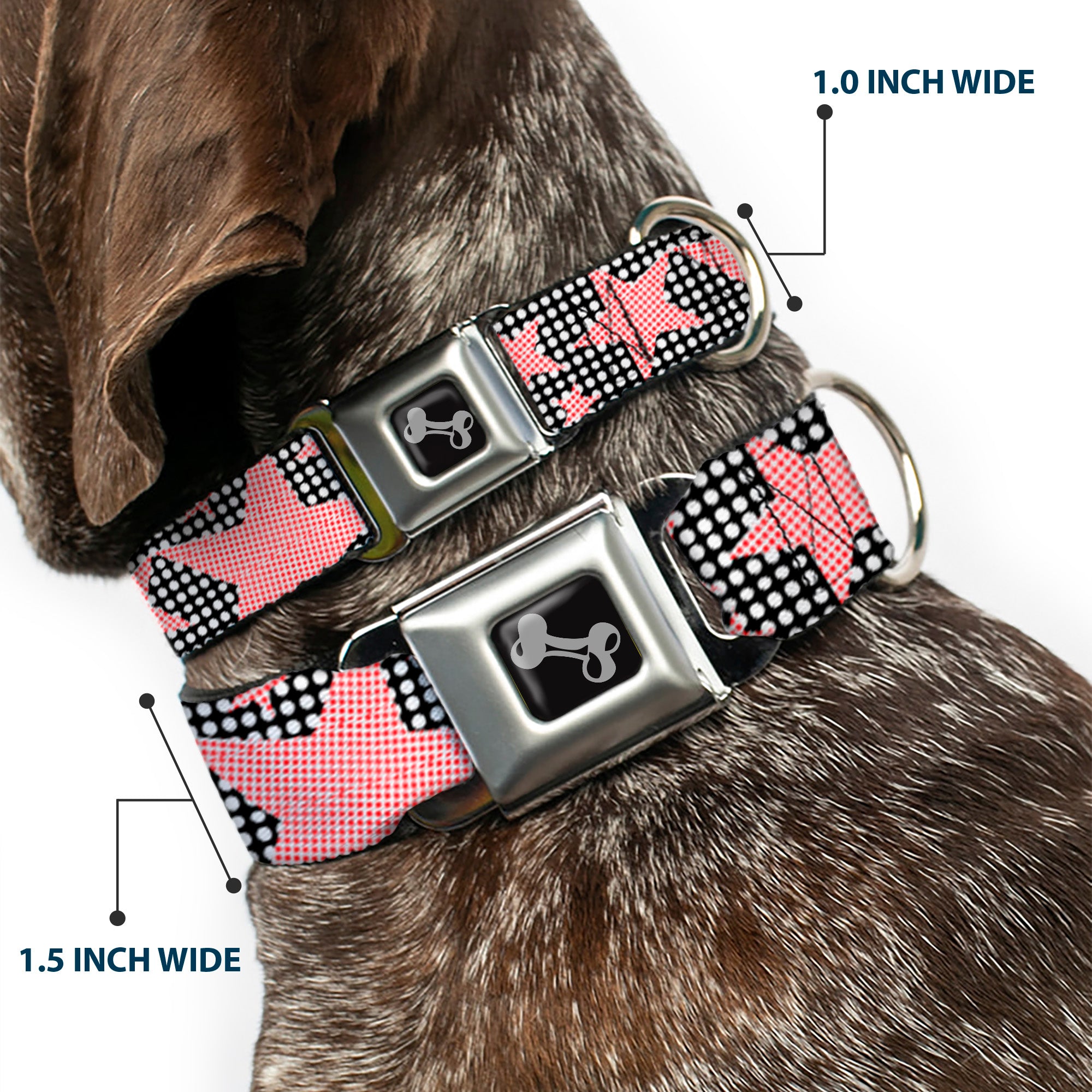 Dog Bone Seatbelt Buckle Collar - Eighties Stars2 Black/White/Red Seatbelt Buckle Collars Buckle-Down
