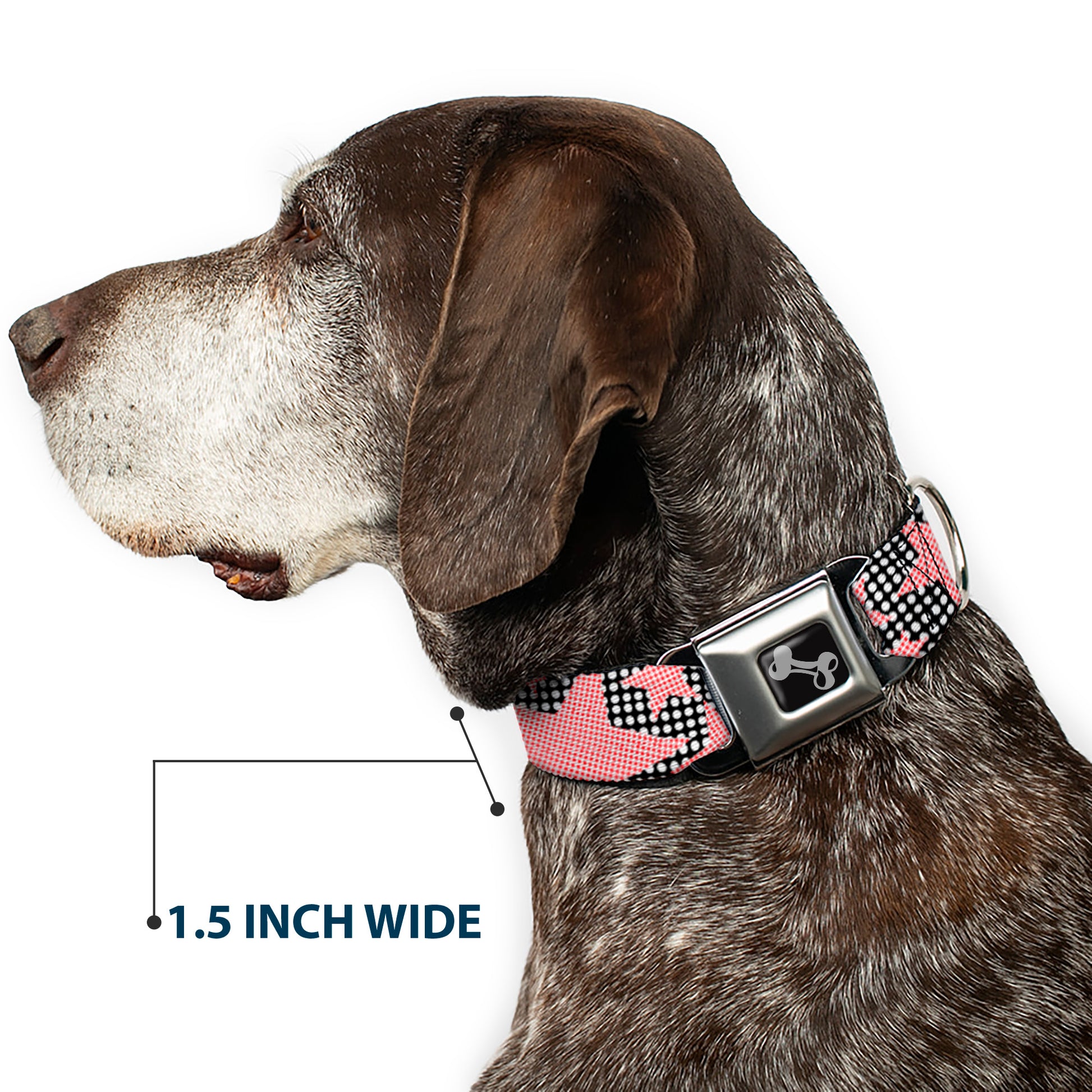 Dog Bone Seatbelt Buckle Collar - Eighties Stars2 Black/White/Red Seatbelt Buckle Collars Buckle-Down